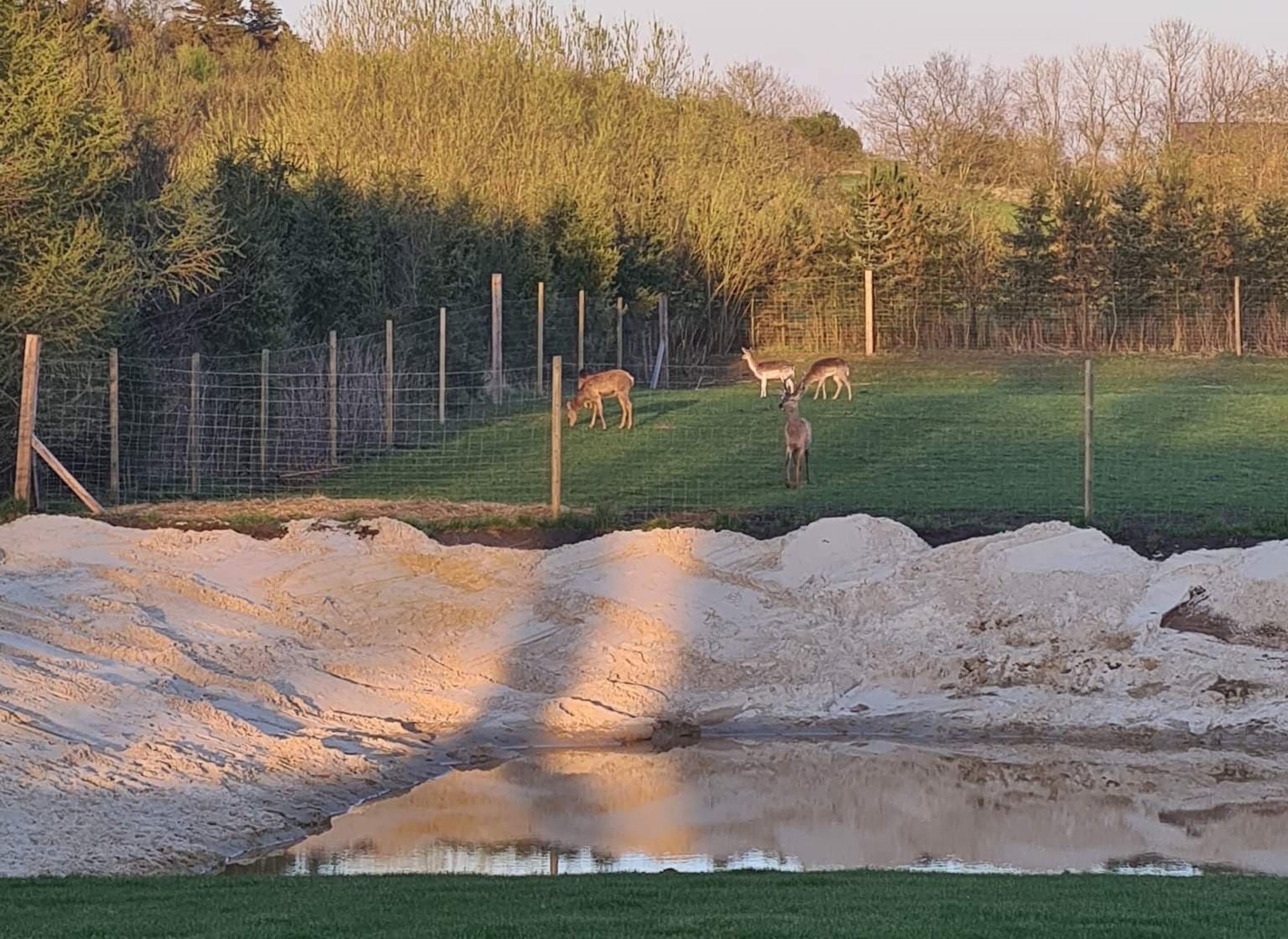 Vester Barde Landcamping — Photo 6