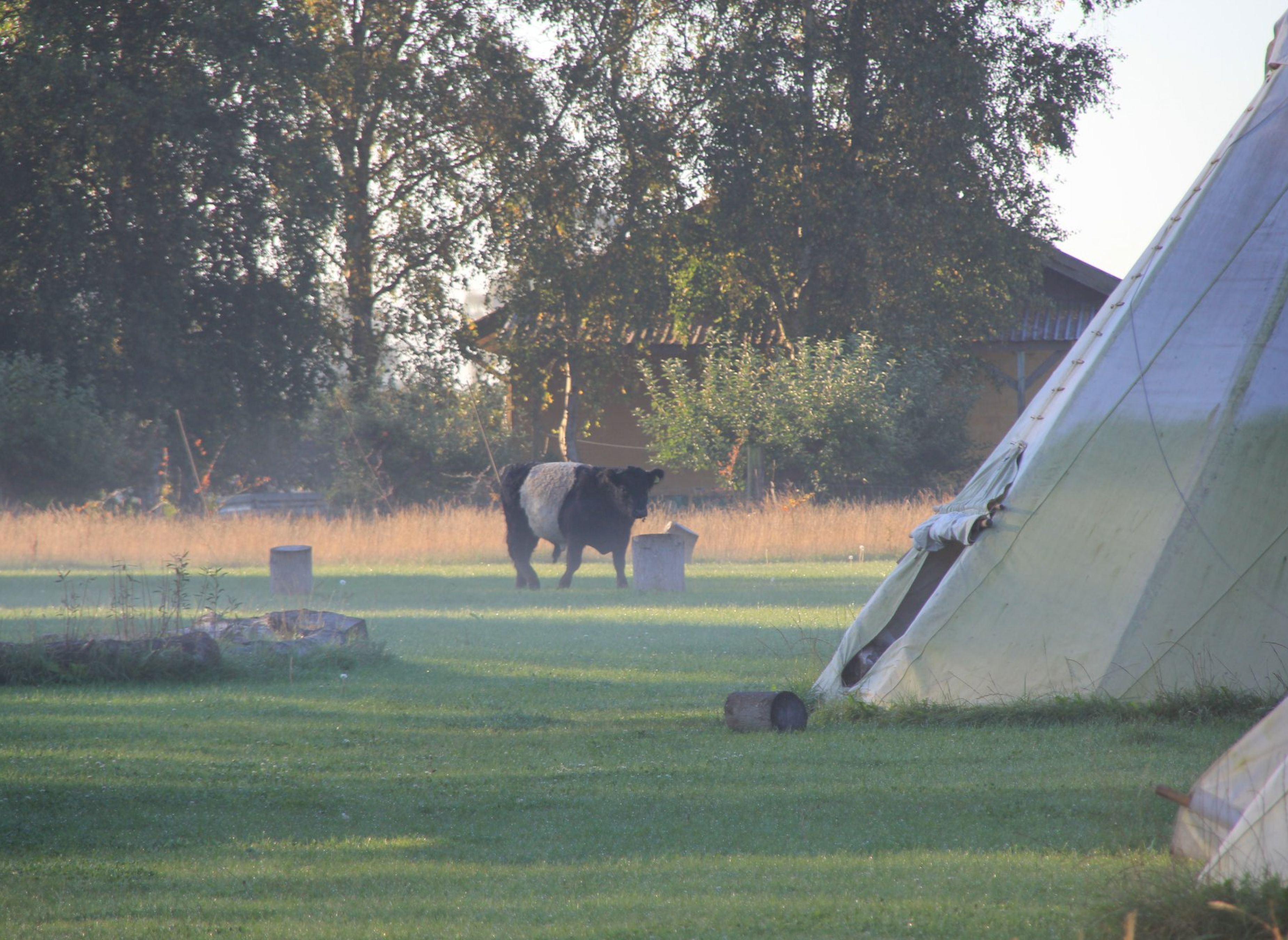 Natur Camp Kildevej — Photo 6