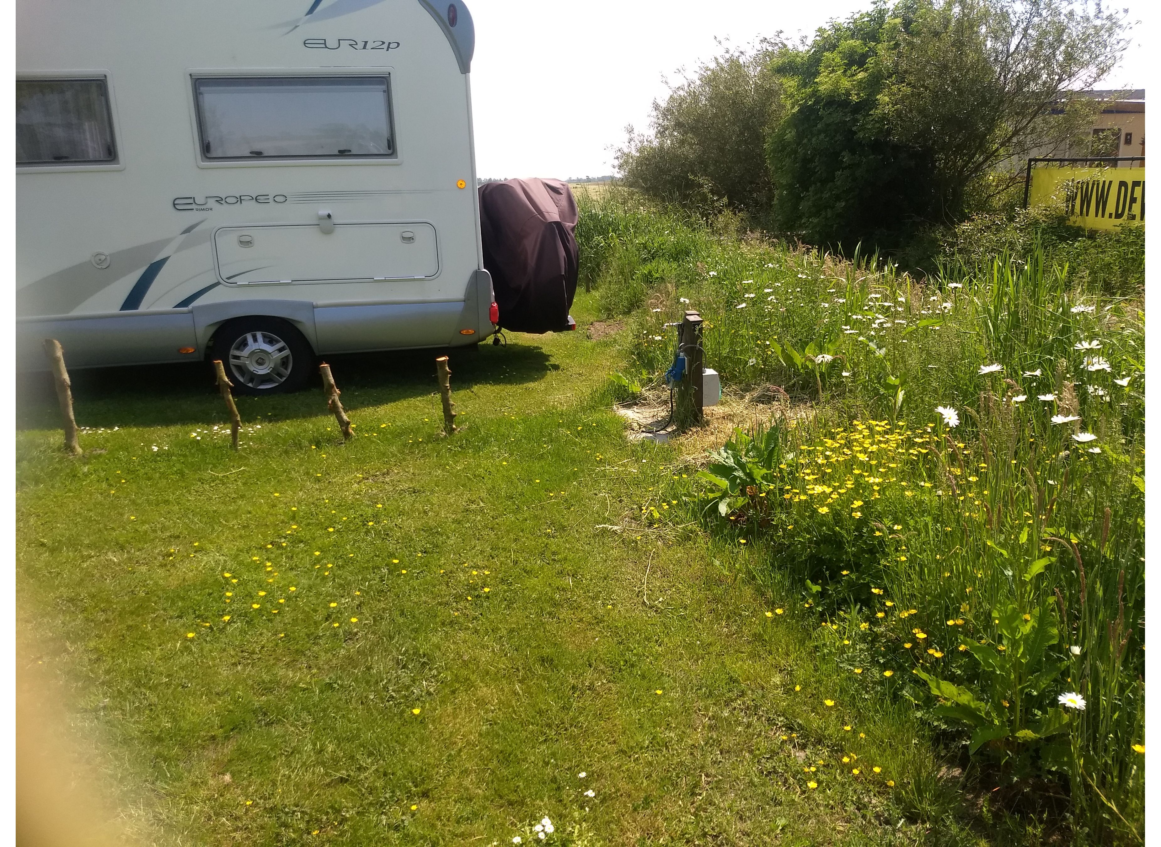 De Wartenster — Photo 4