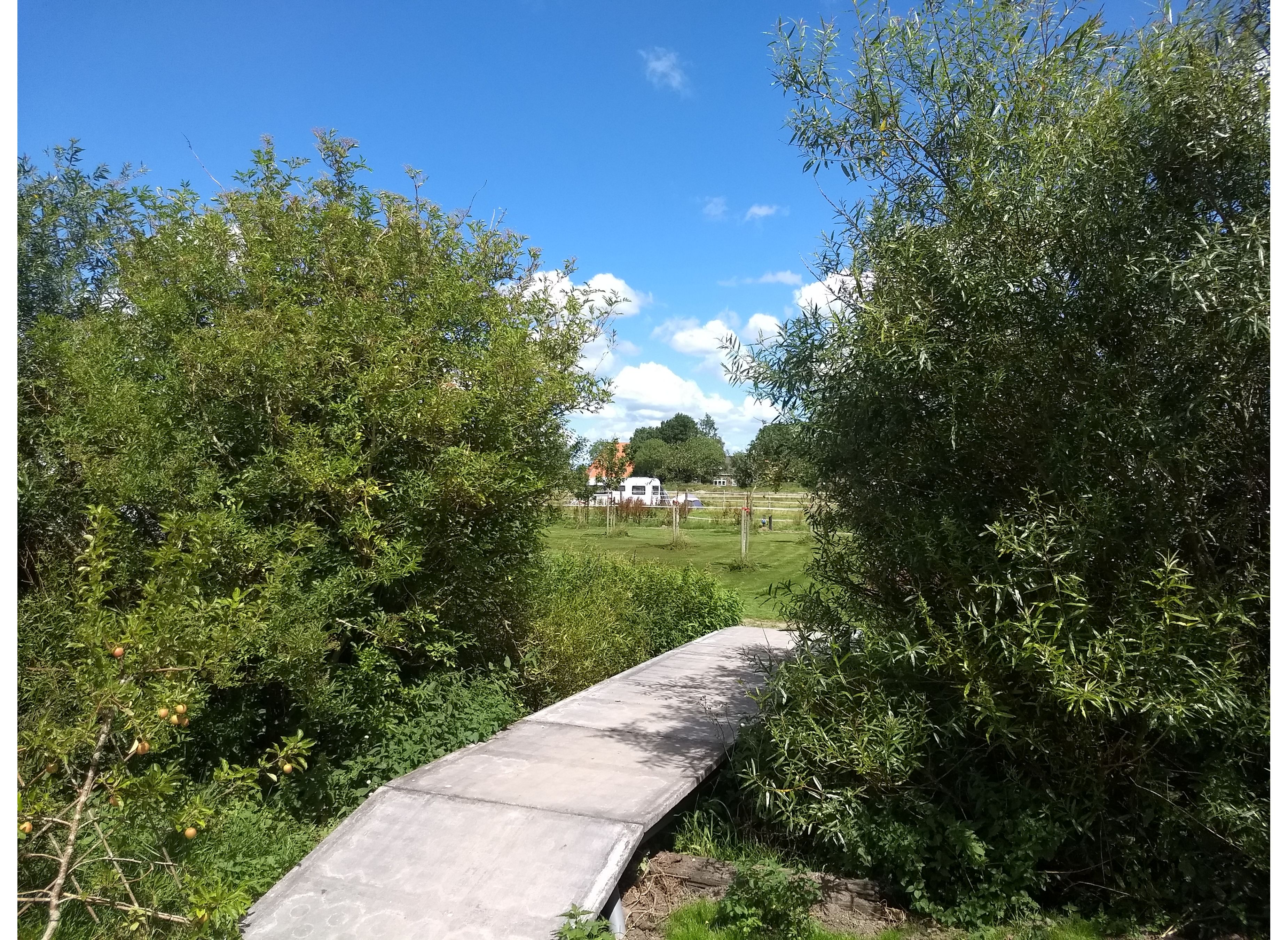 De Wartenster — Photo 5