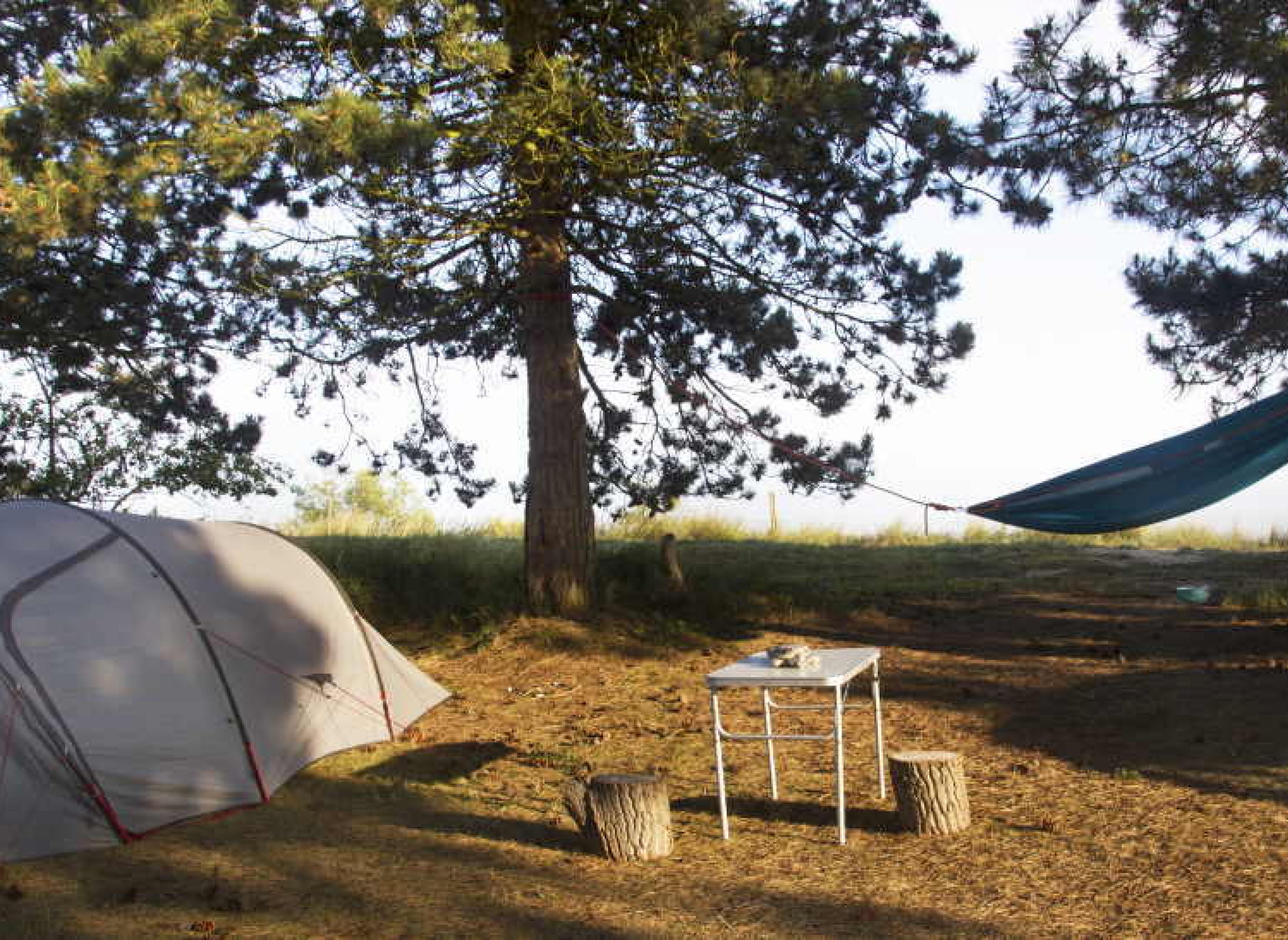 Møn Camping Hårbølle Strand