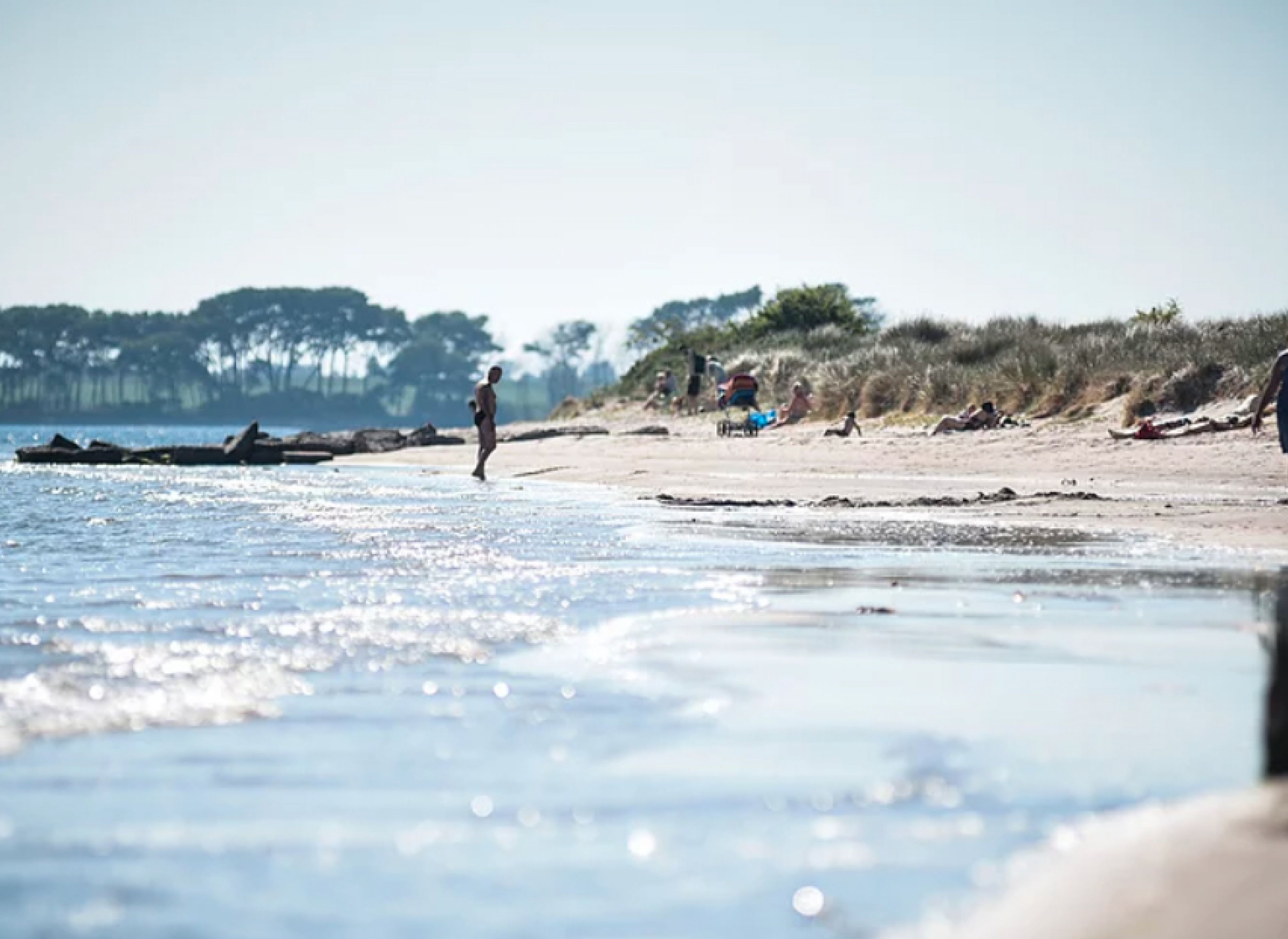 Møn Camping Hårbølle Strand — Photo 2