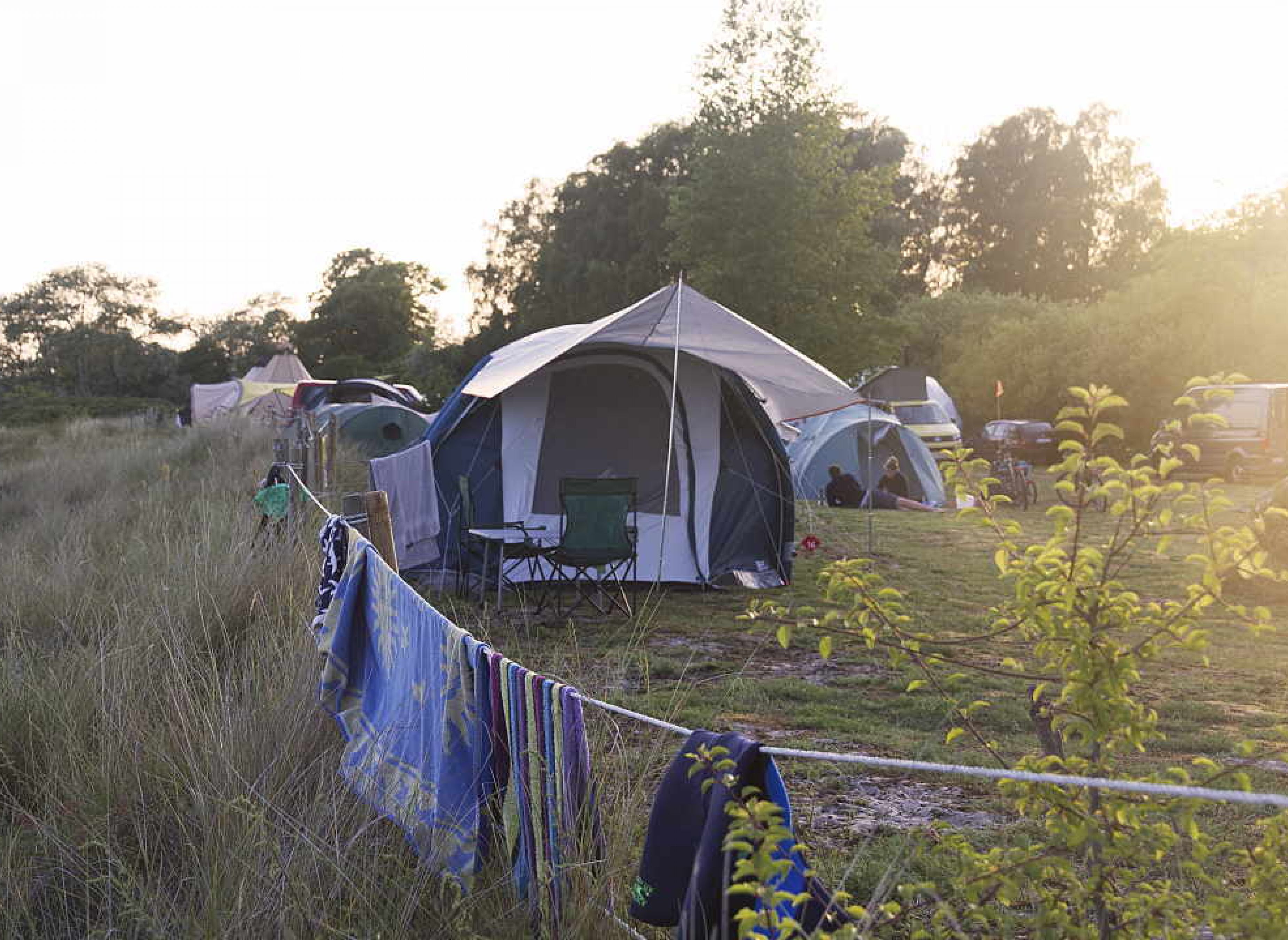 Møn Camping Hårbølle Strand — Photo 3