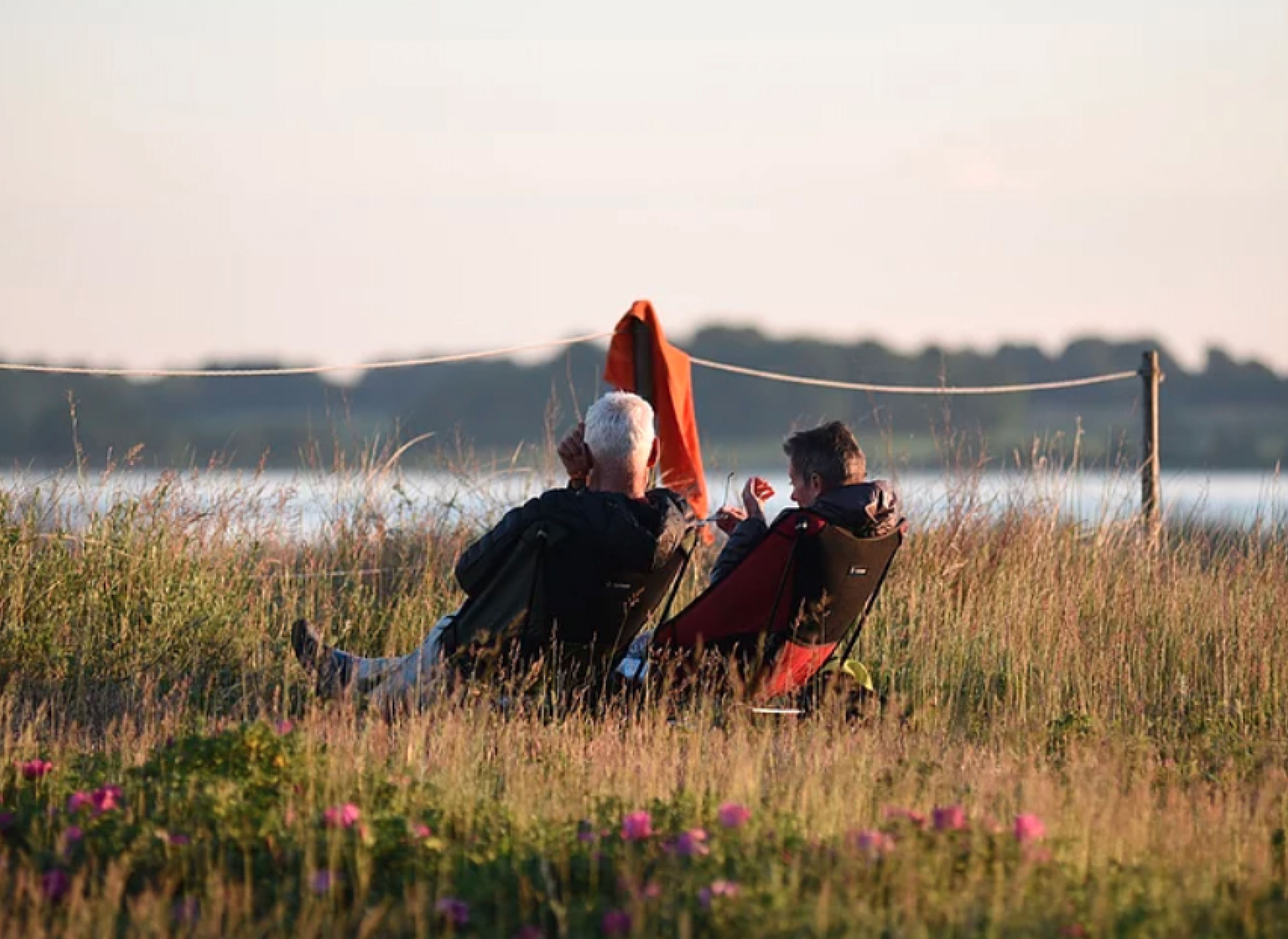 Møn Camping Hårbølle Strand — Photo 6