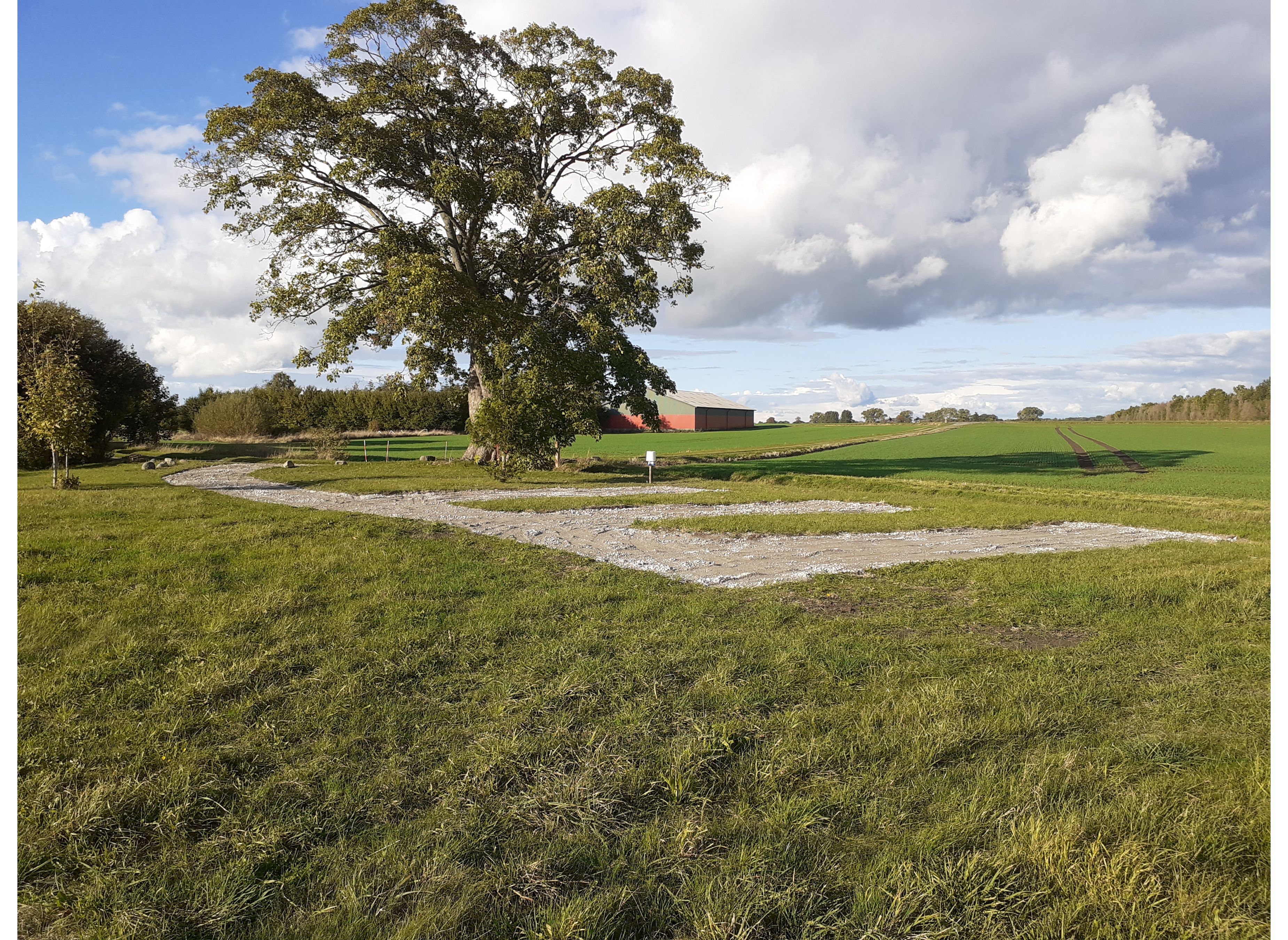 Camping in the Heart of Falster — Photo 2