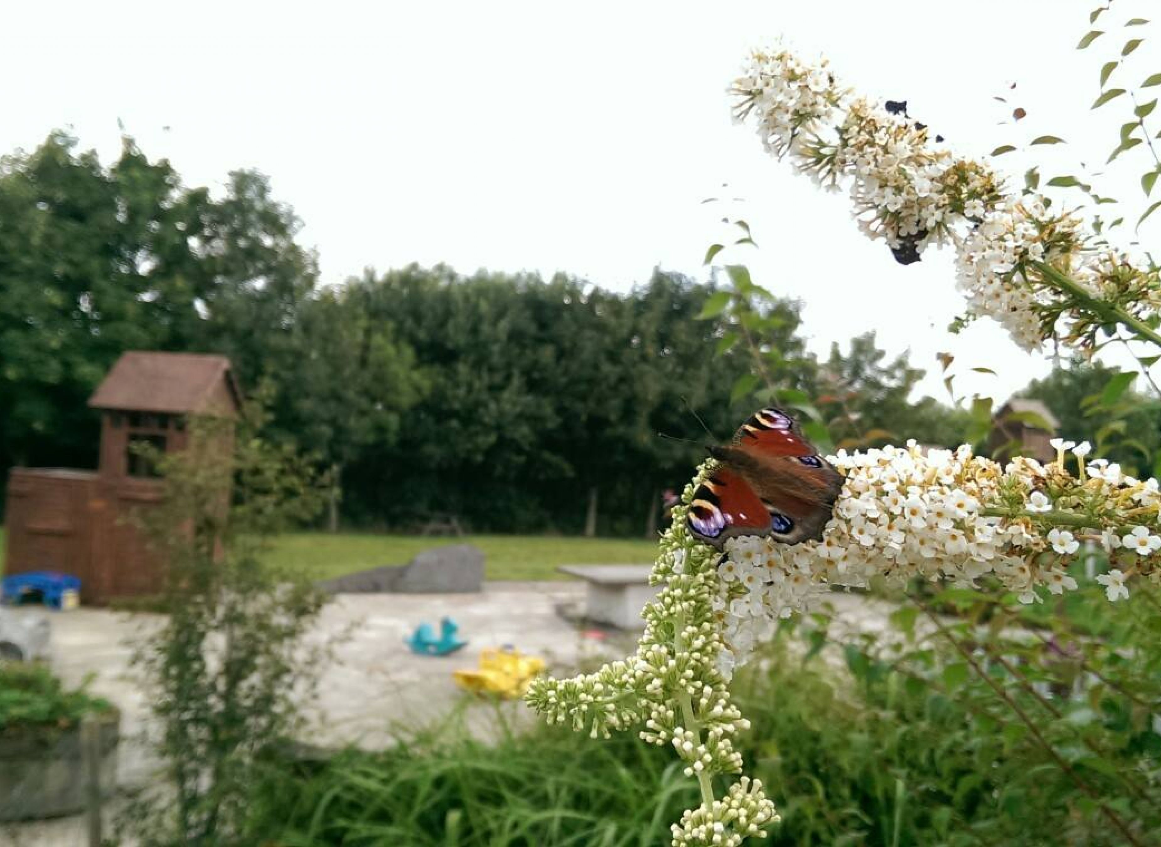Bindesbølgård - ferielejligheder og bondegårdsferie — Photo 2