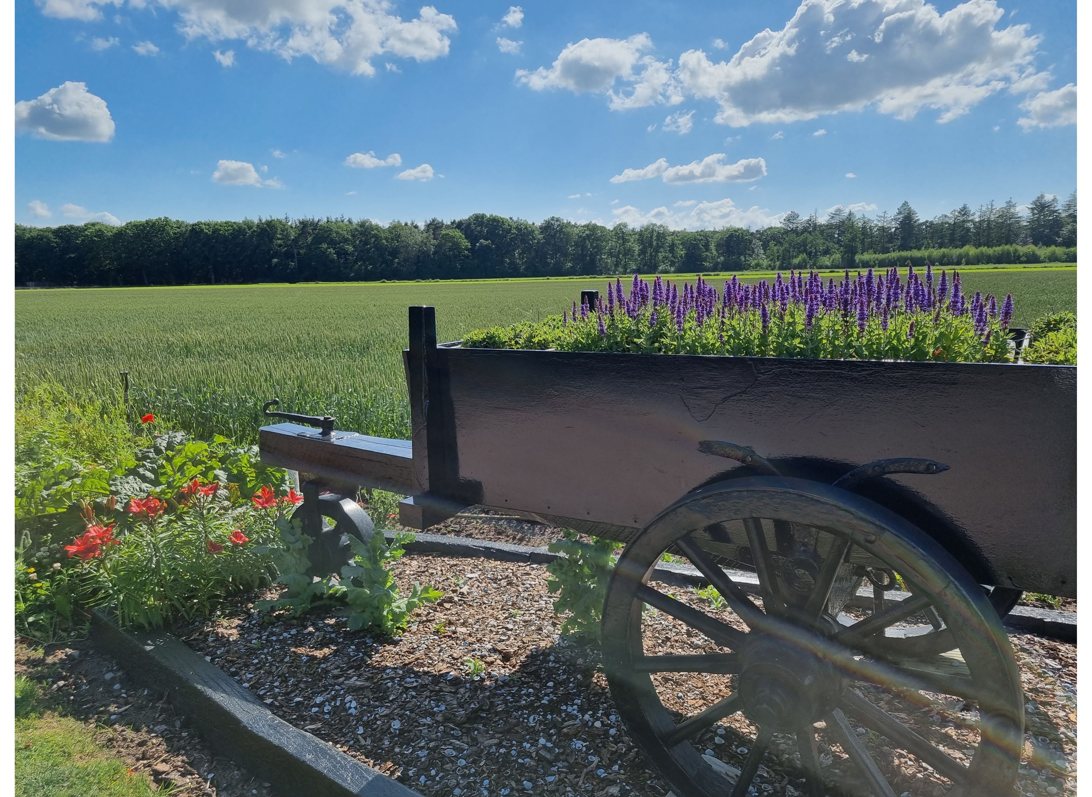 Boerderijcamping Varsenerveld — Photo 2