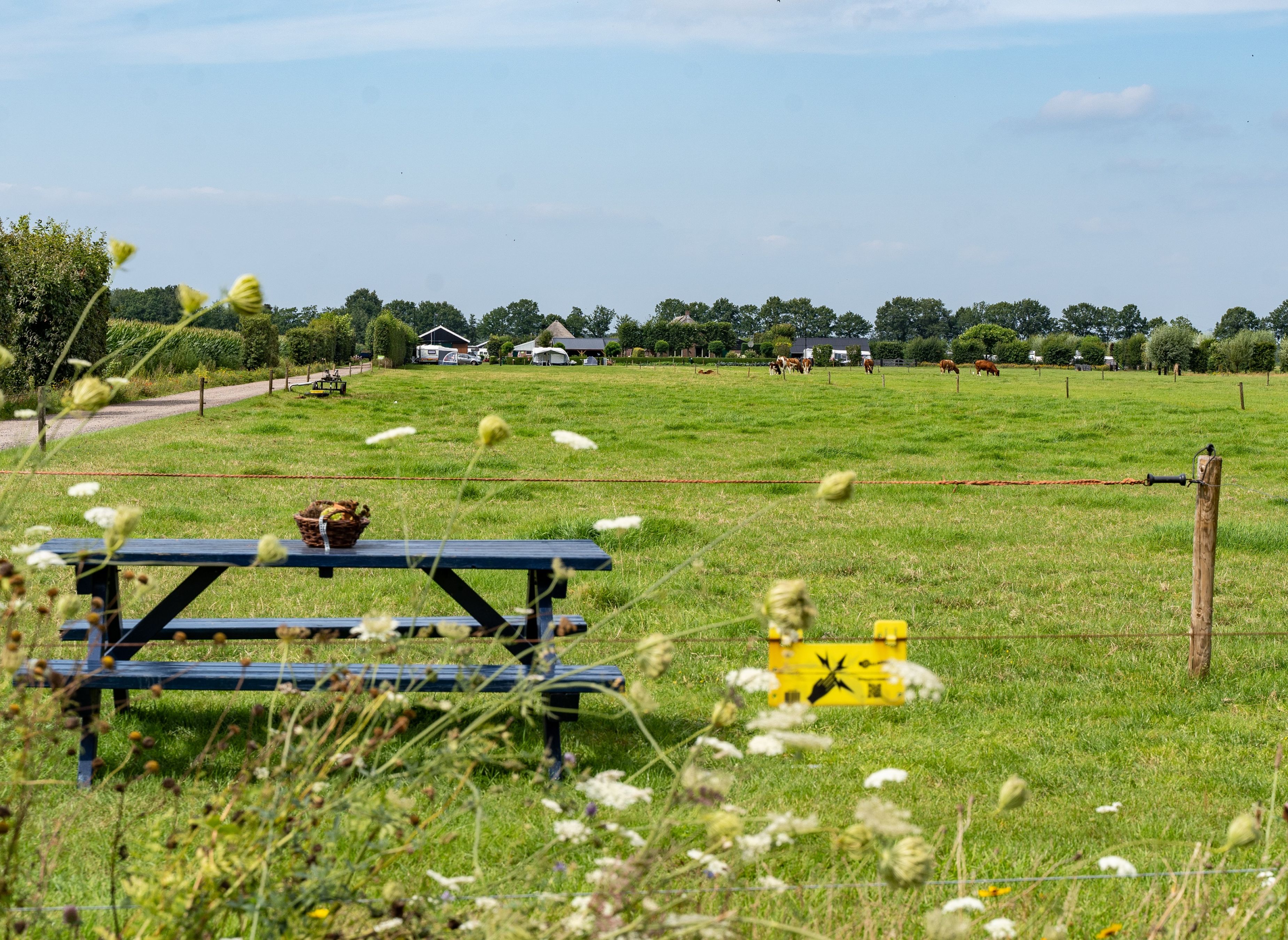 Boerderijcamping Varsenerveld — Photo 4
