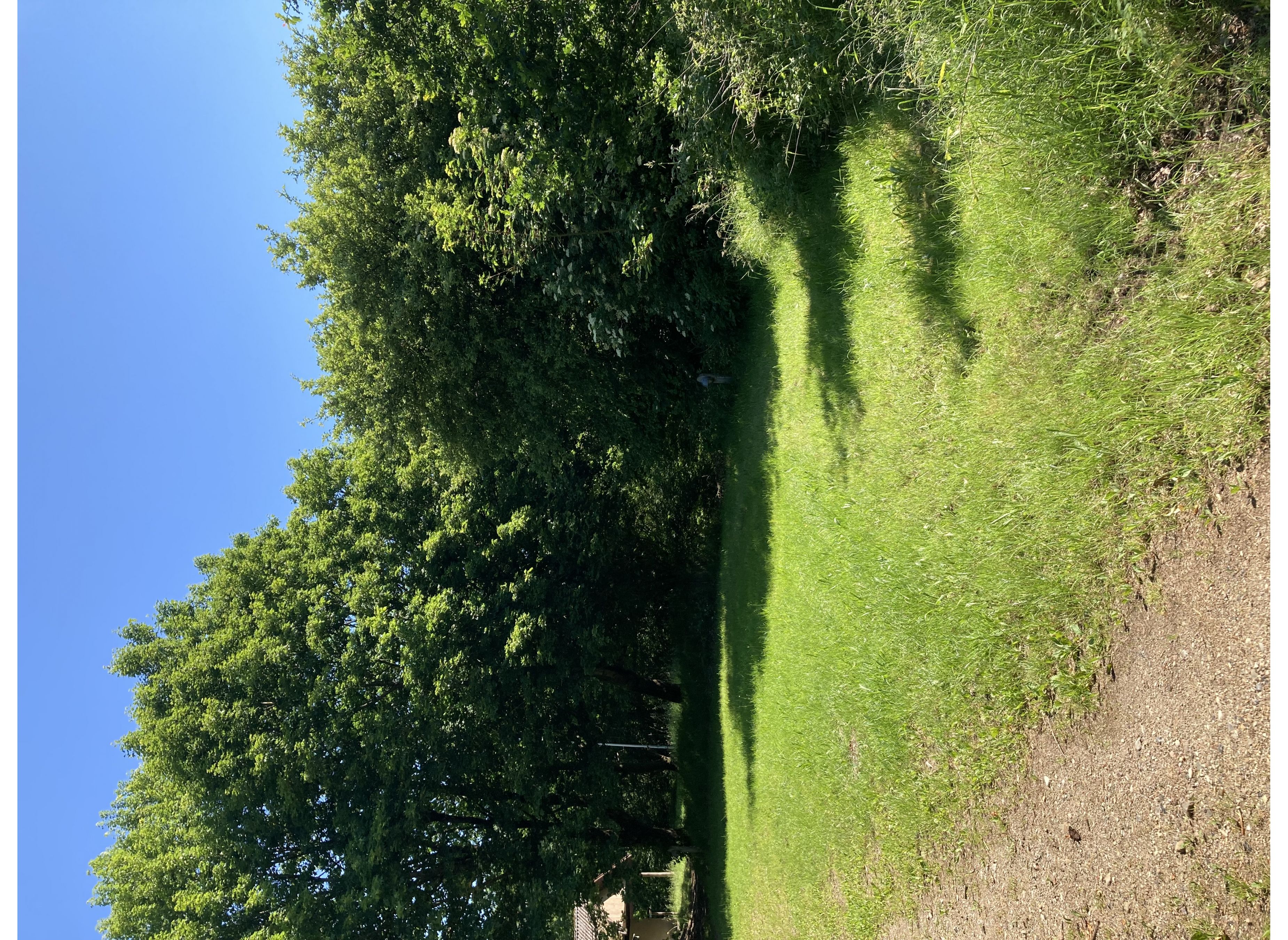 Birkemose bed and breakfast