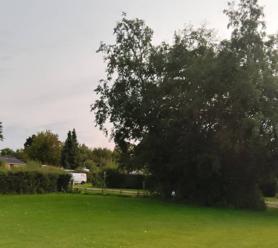 Præstø Camping — Photo 2