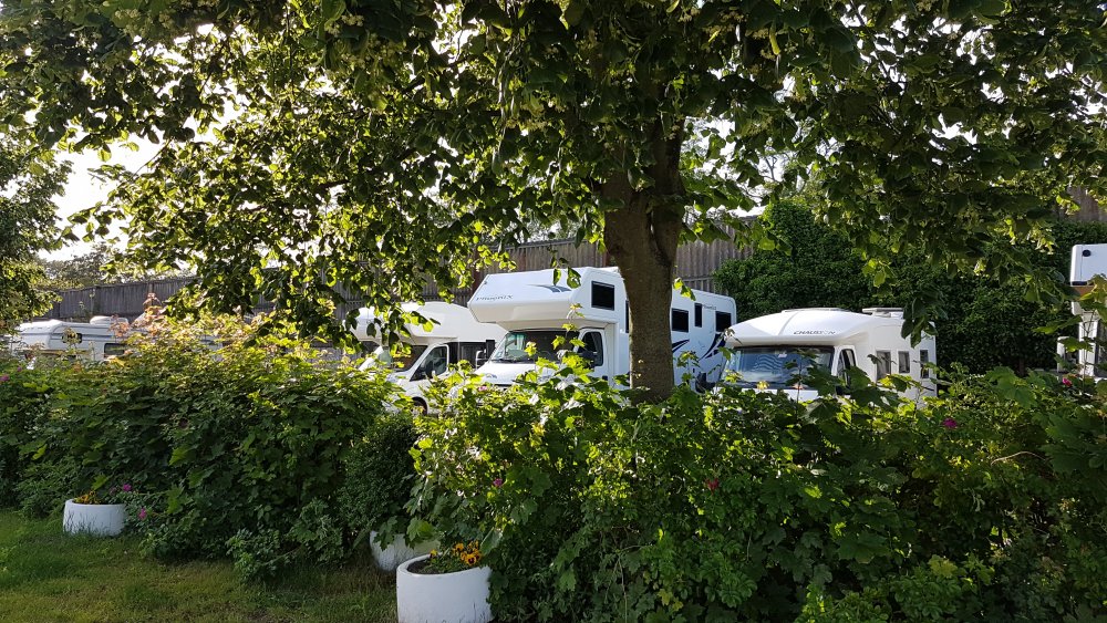 Stellplatz Fischereihafen Travemünde