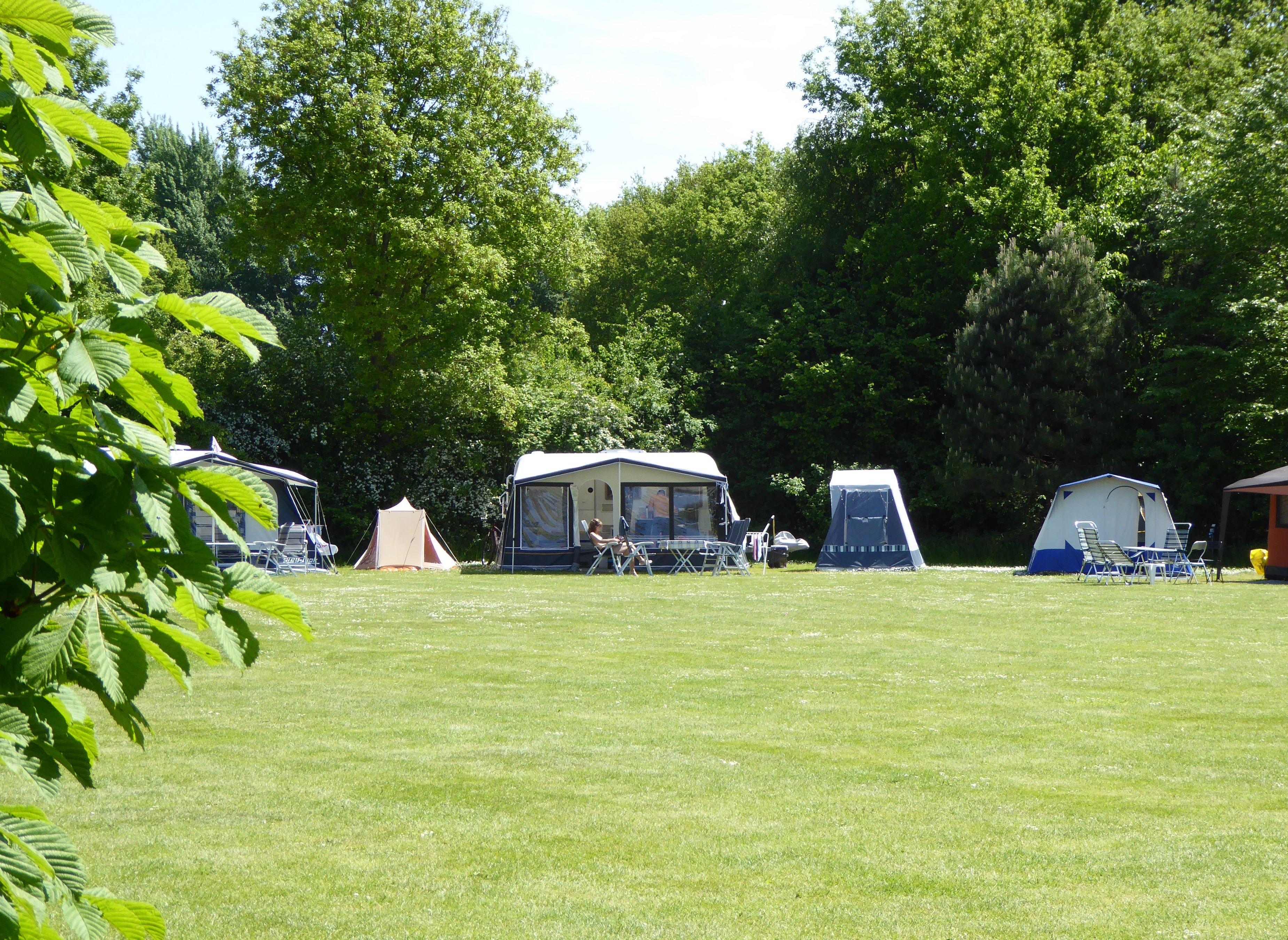 Vakantieoord de Bronzen Emmer — Photo 2