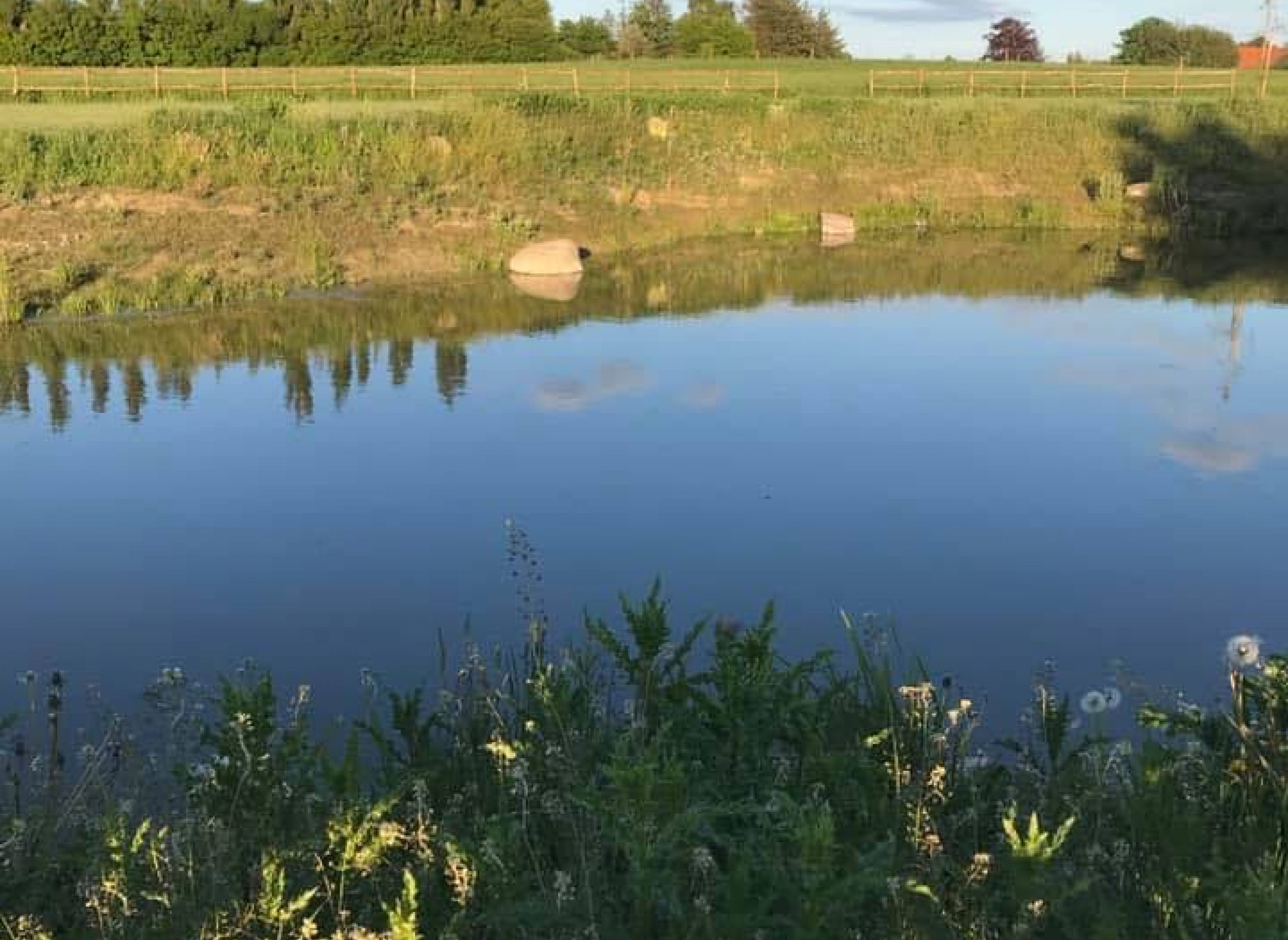 Lilbygaard - Bondegårdscamping — Photo 4