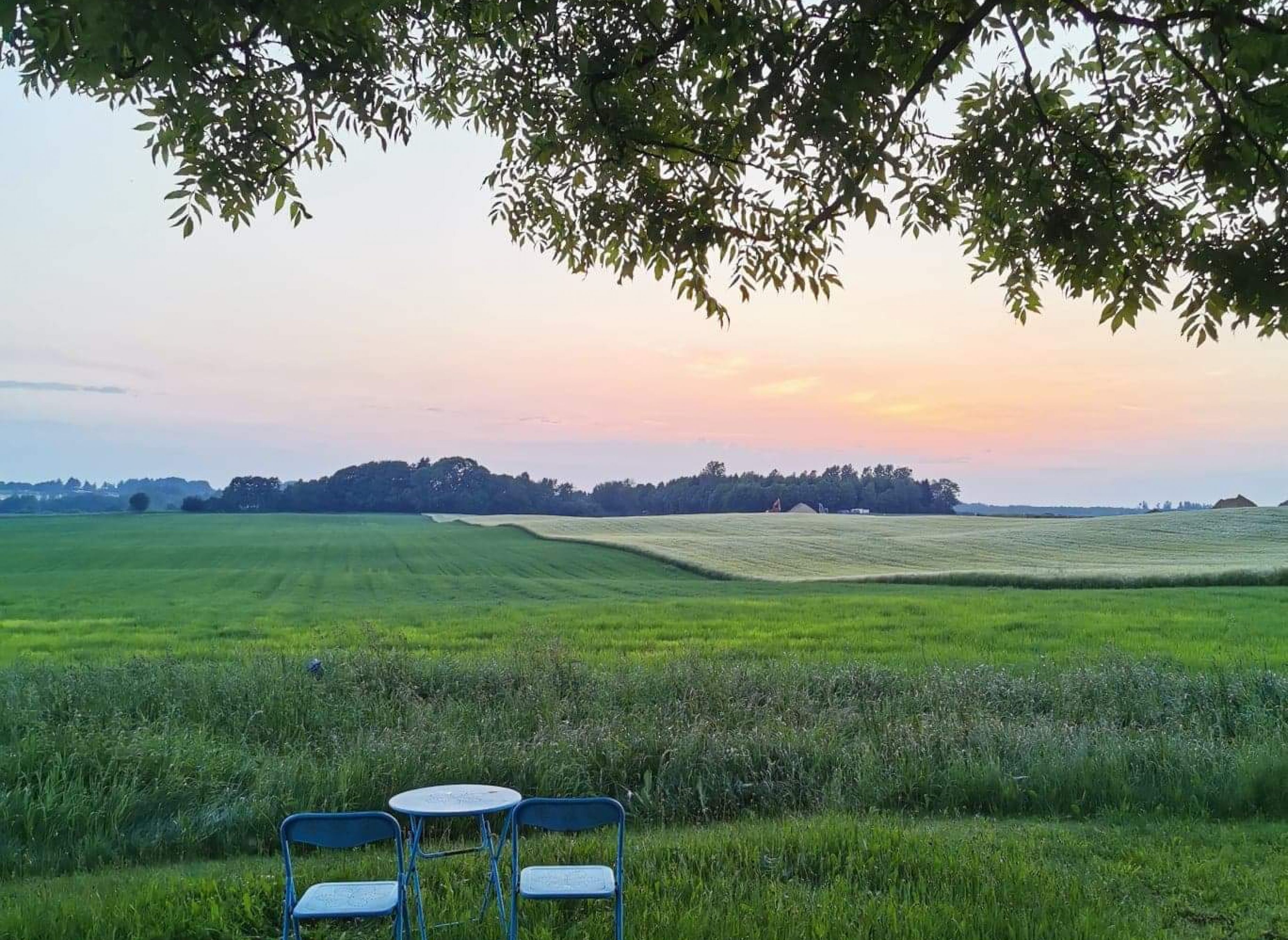 Blikgården — Photo 2