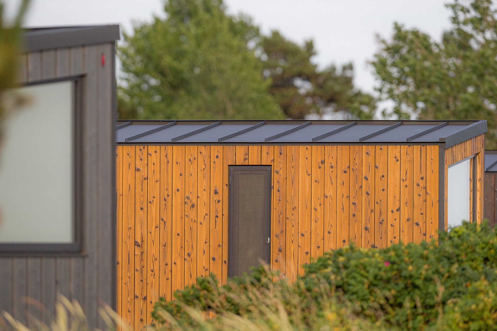 Tiny Seaside - Skarrev