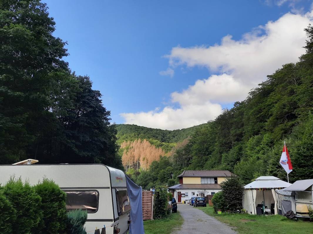 Campingplatz & Waldschwimmbad Lonau — Photo 2