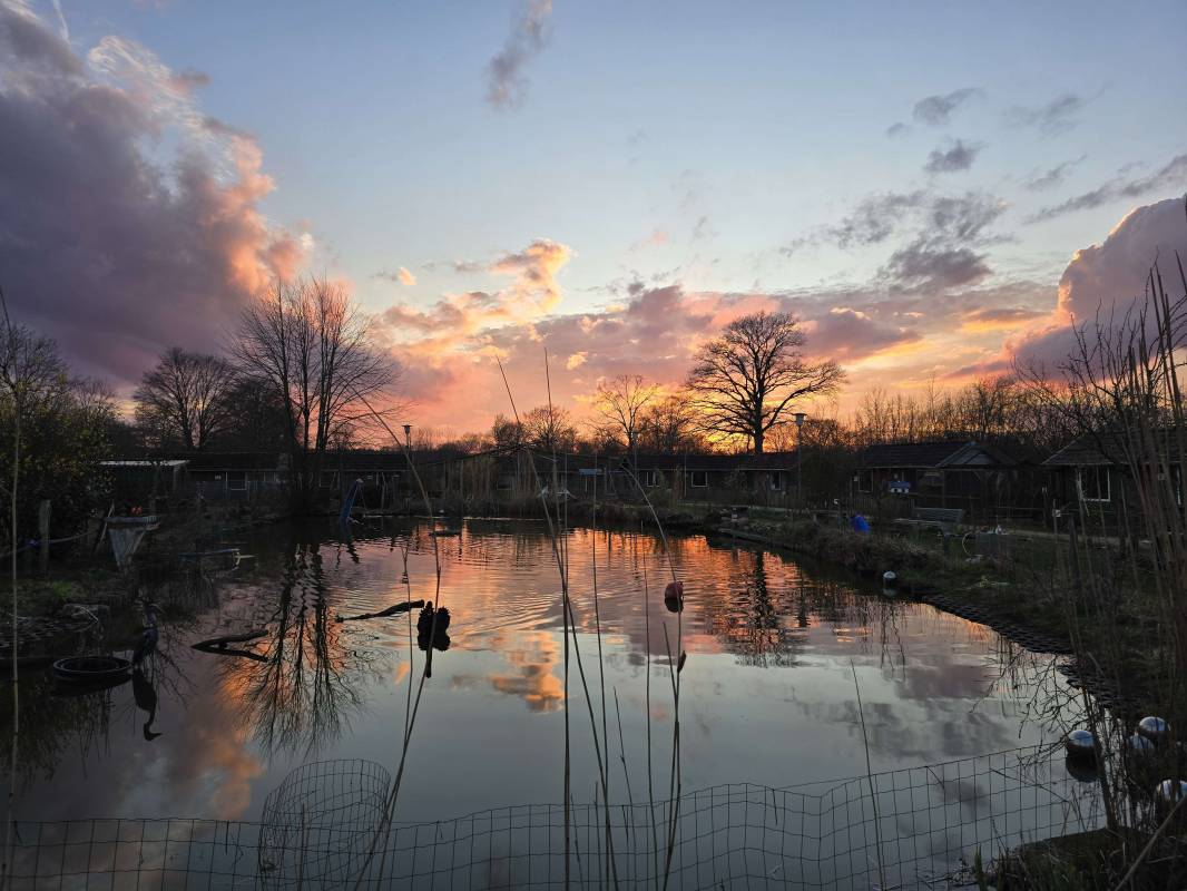 kleine arche wahlstedt segeberger forst — Photo 6