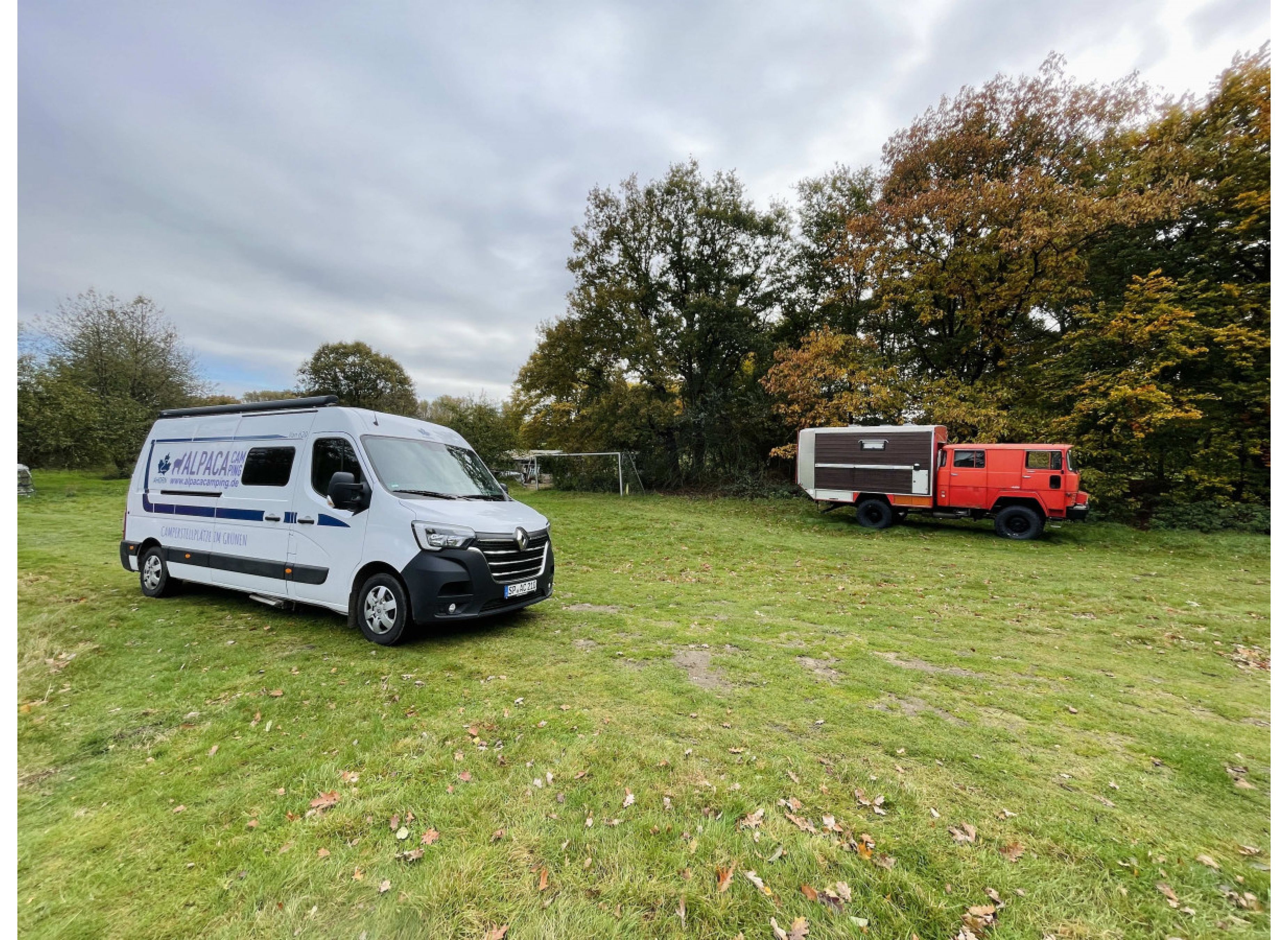 Auf der Obstwiese in Dorsten