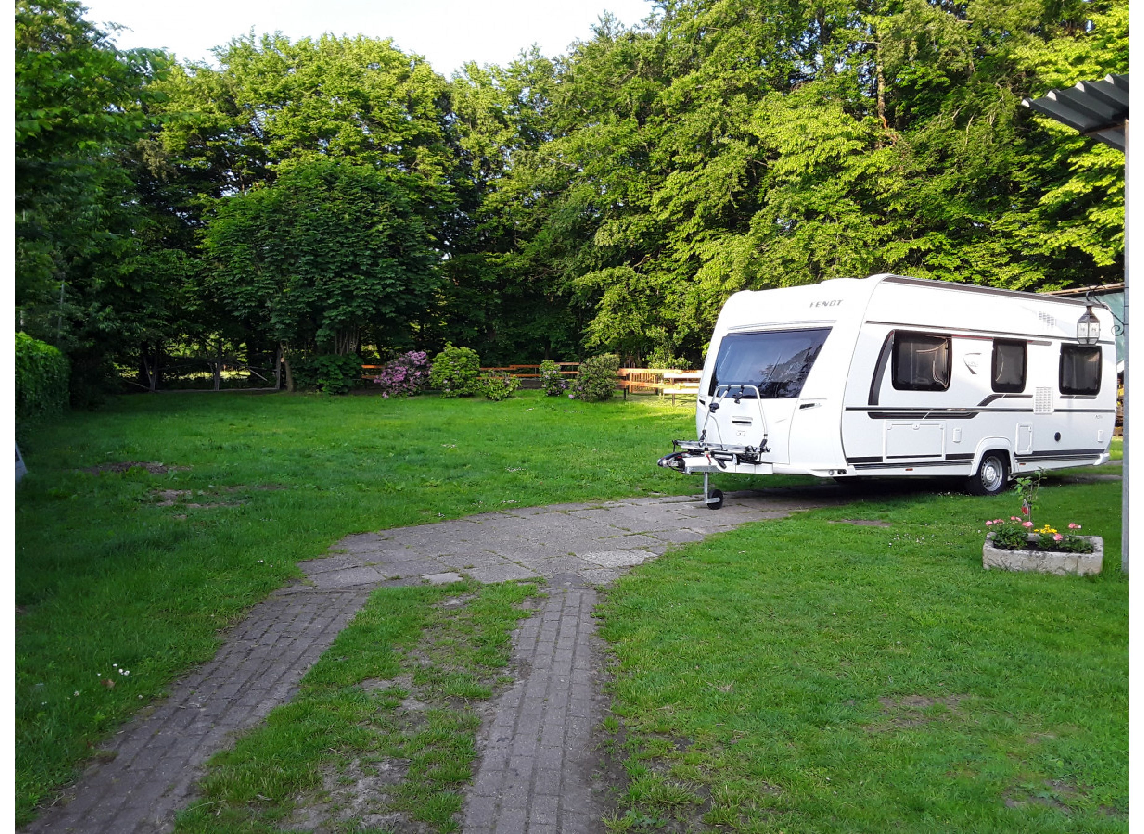 Campingplatz Hof Ignatowitsch mit Ponys und Pferden in Ammerland