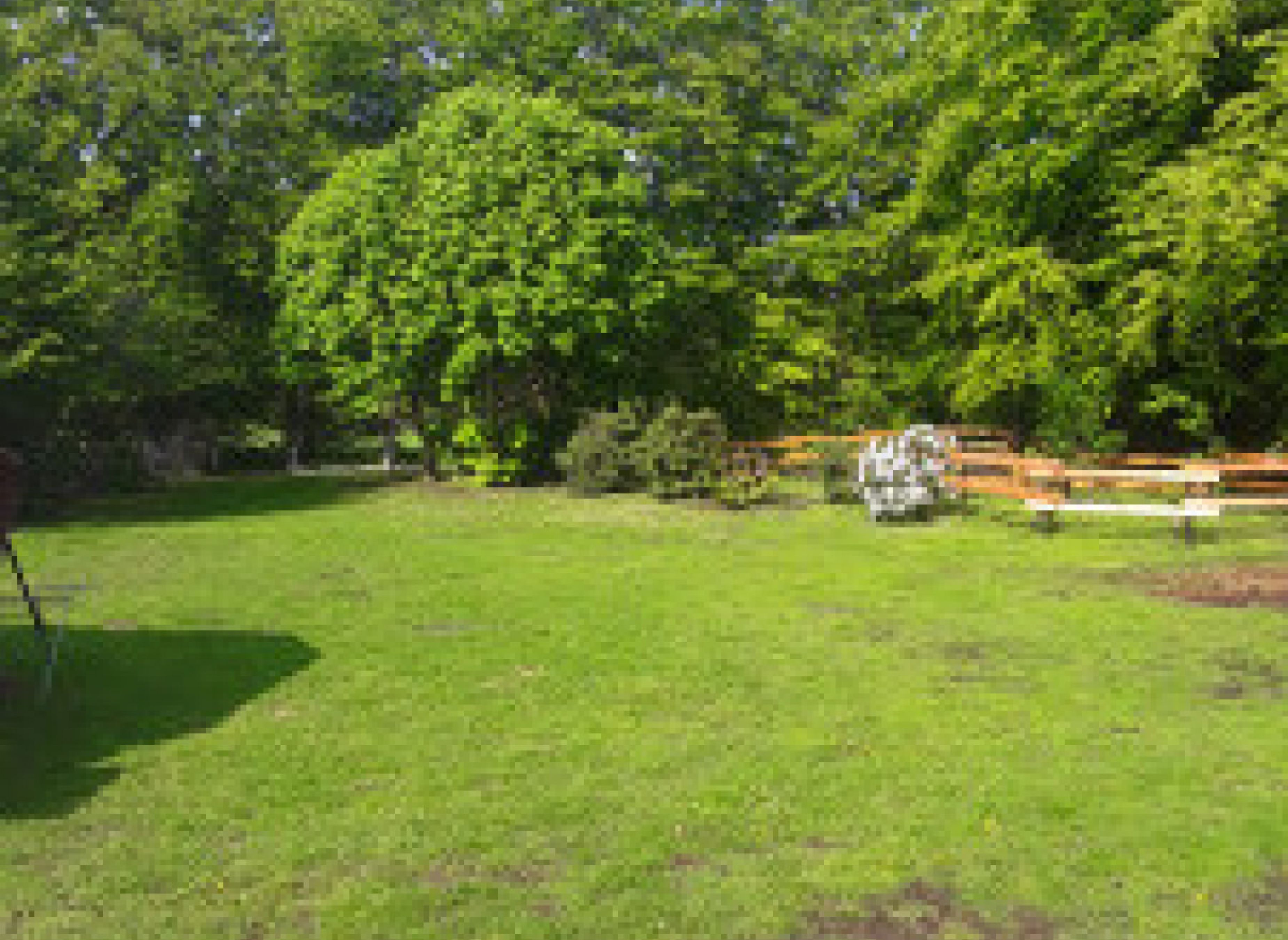 Campingplatz Hof Ignatowitsch mit Ponys und Pferden in Ammerland — Photo 4