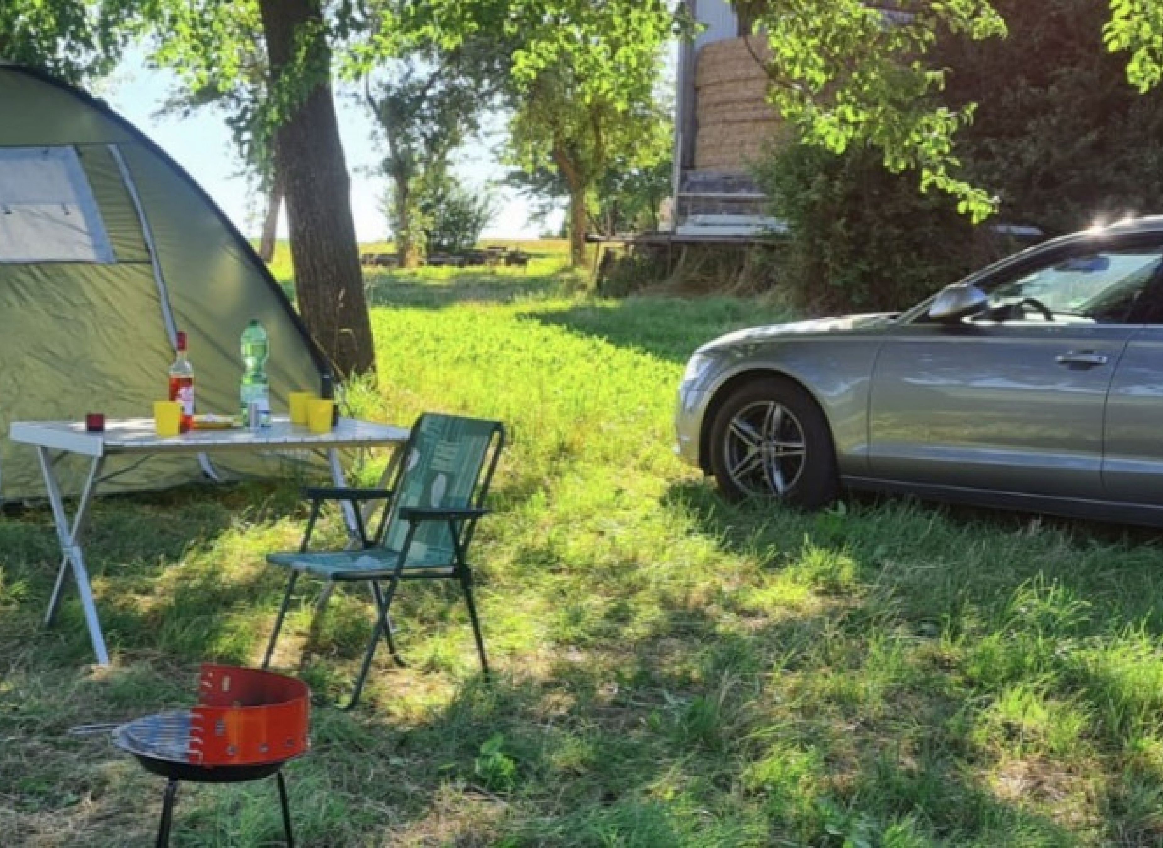 Campen am See — Photo 6