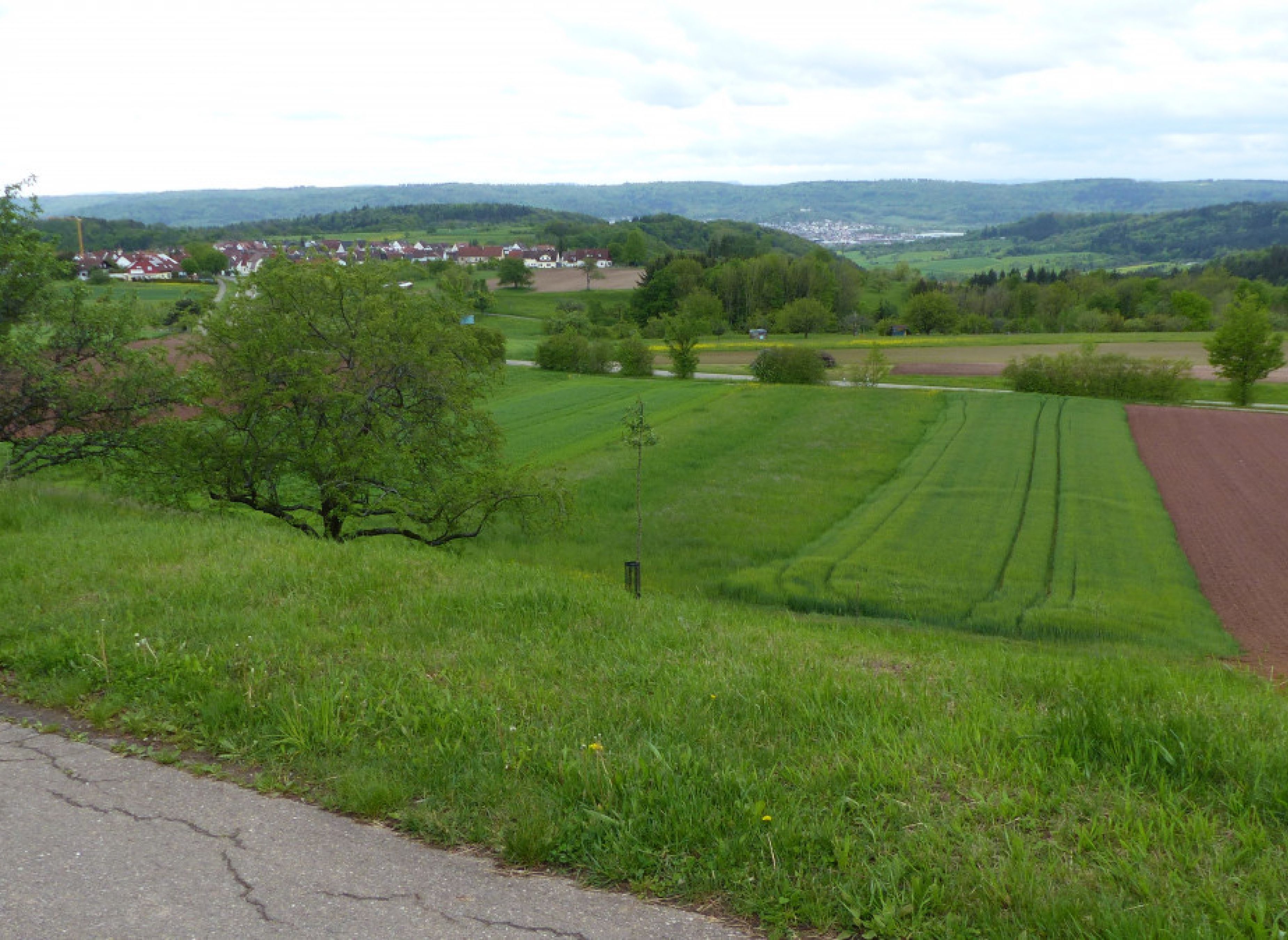 Bio Streuobstwiese Schorndorfer Weitblick