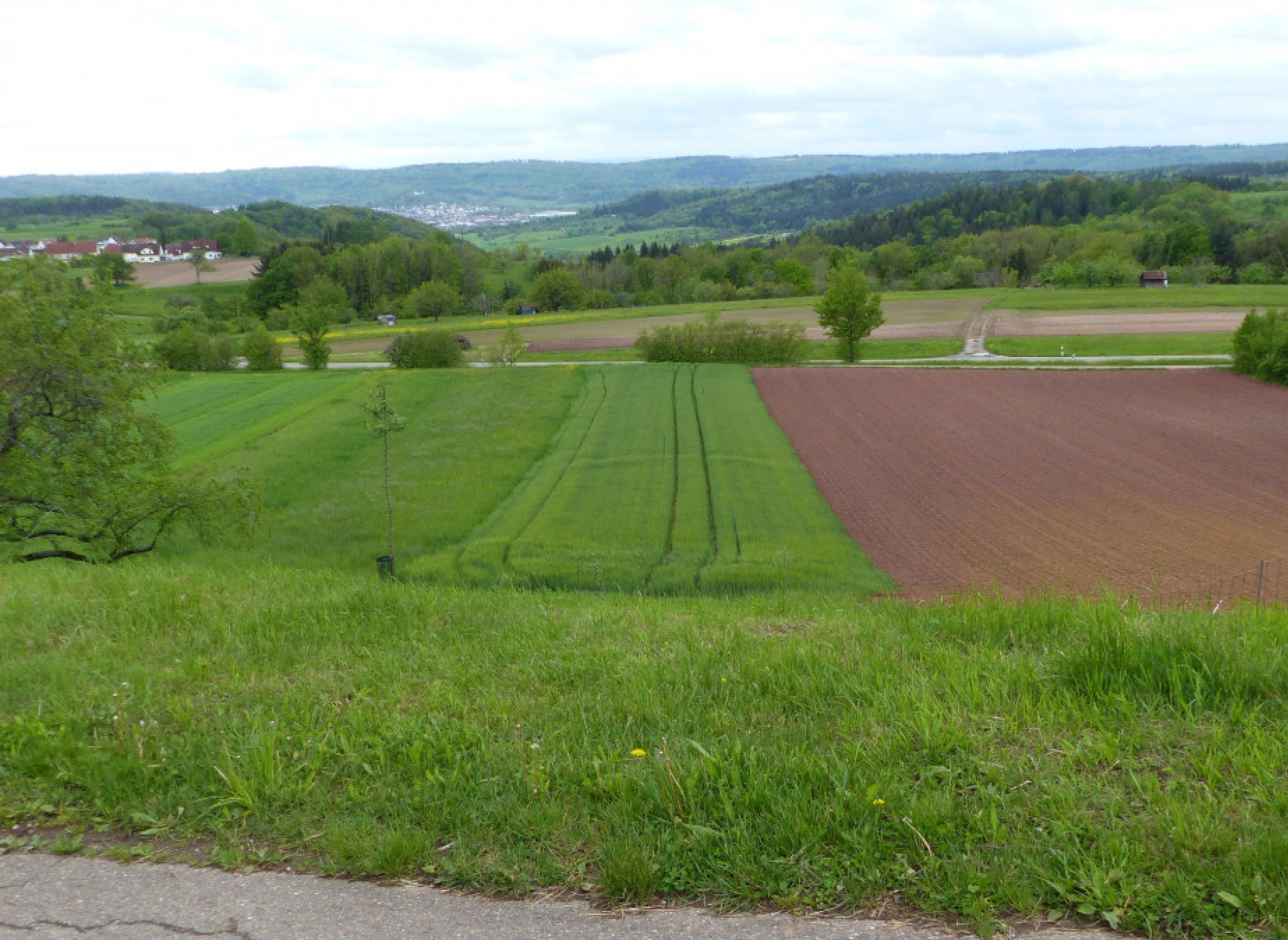 Bio Streuobstwiese Schorndorfer Weitblick — Photo 2