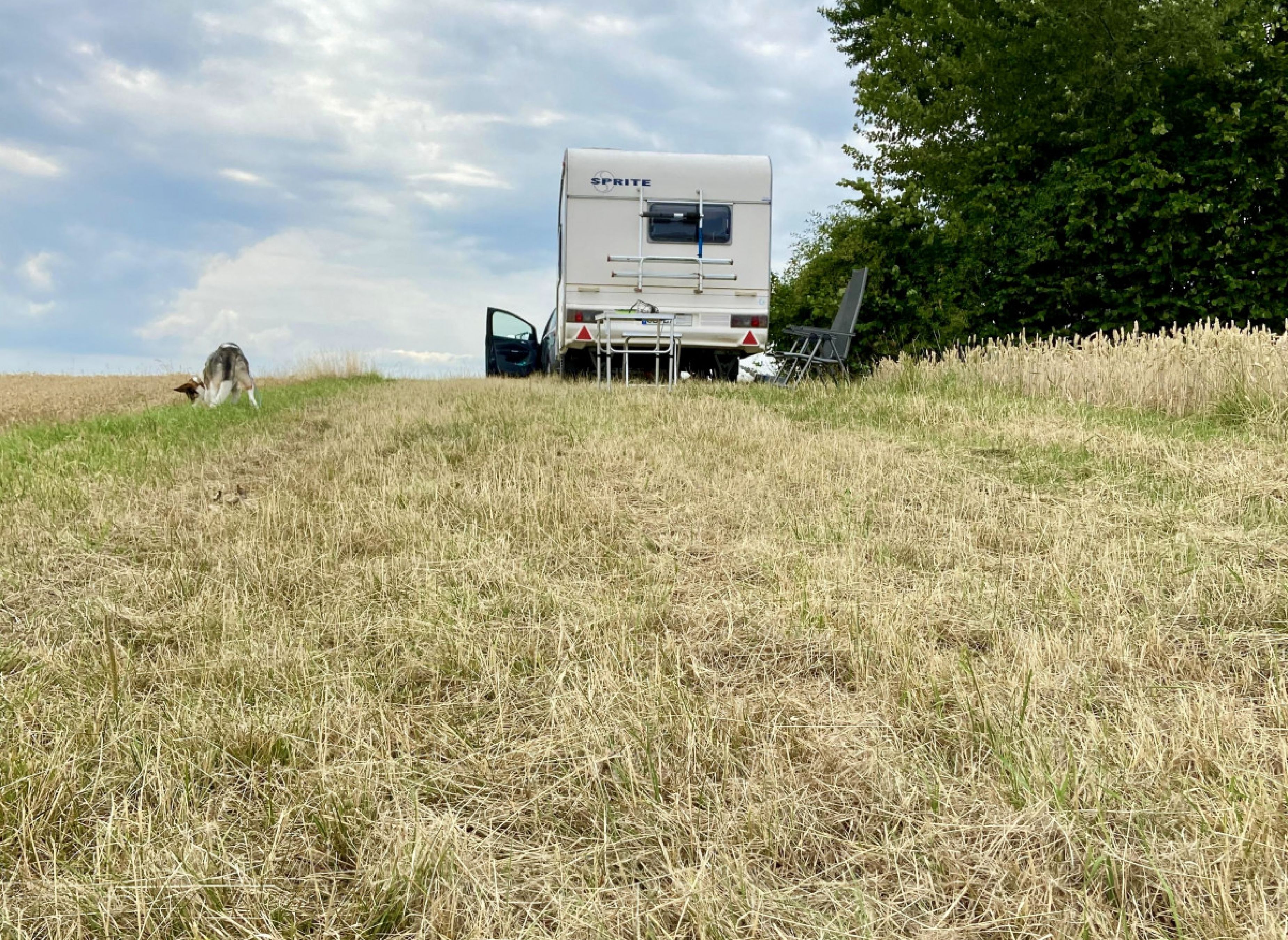 Blick in die Ferne #1