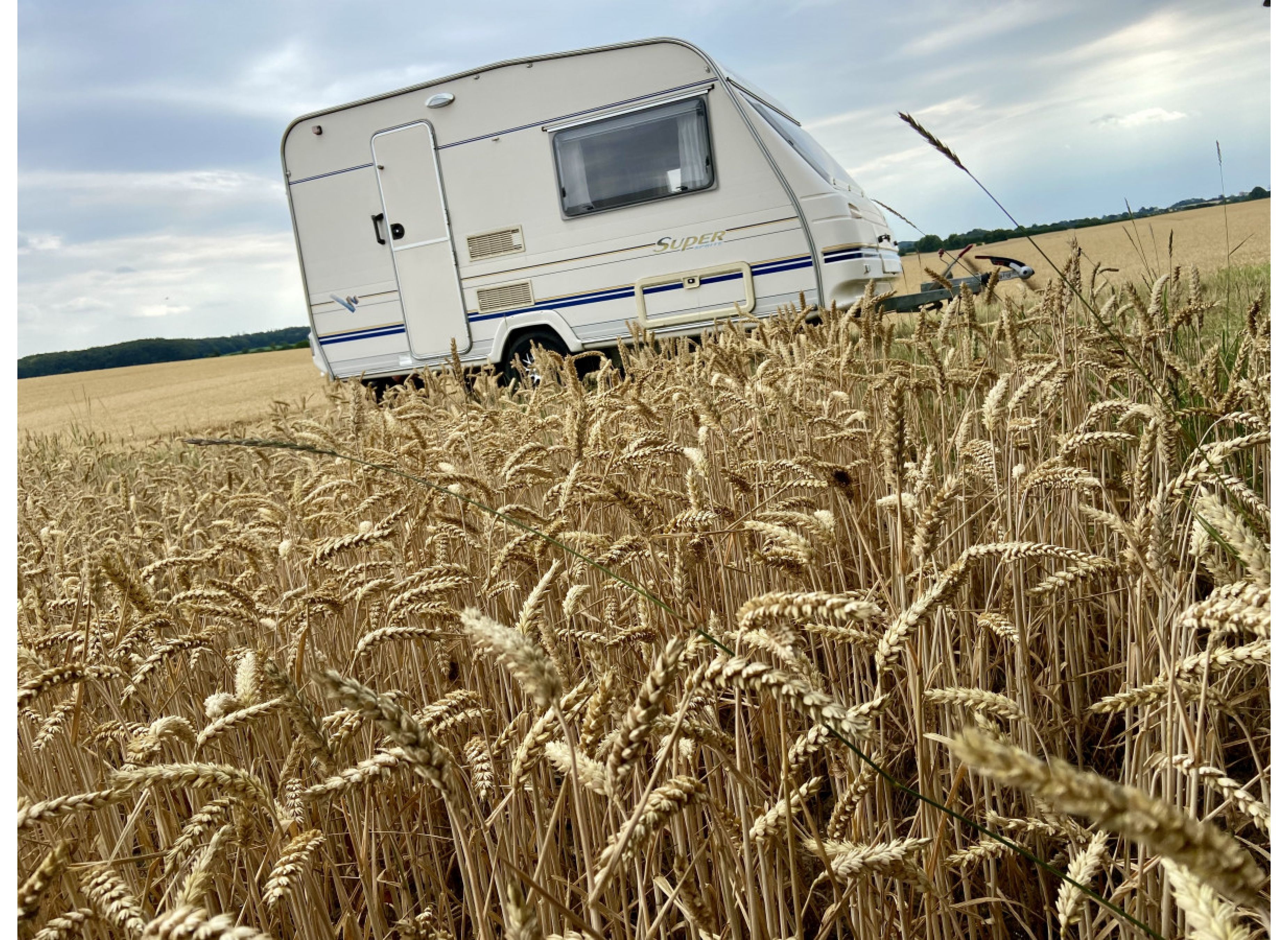 Blick in die Ferne #1 — Photo 2