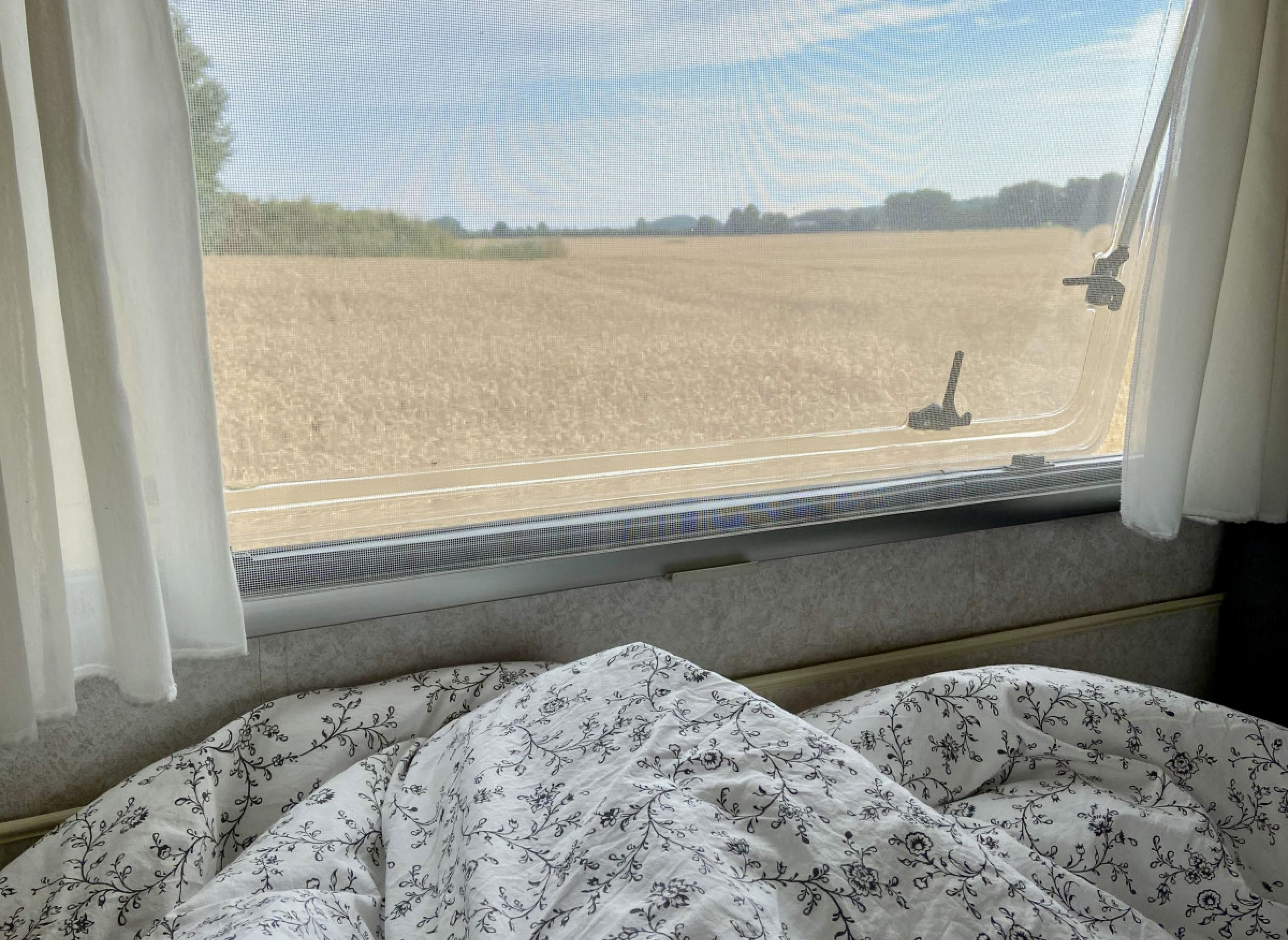 Blick in die Ferne #1 — Photo 3