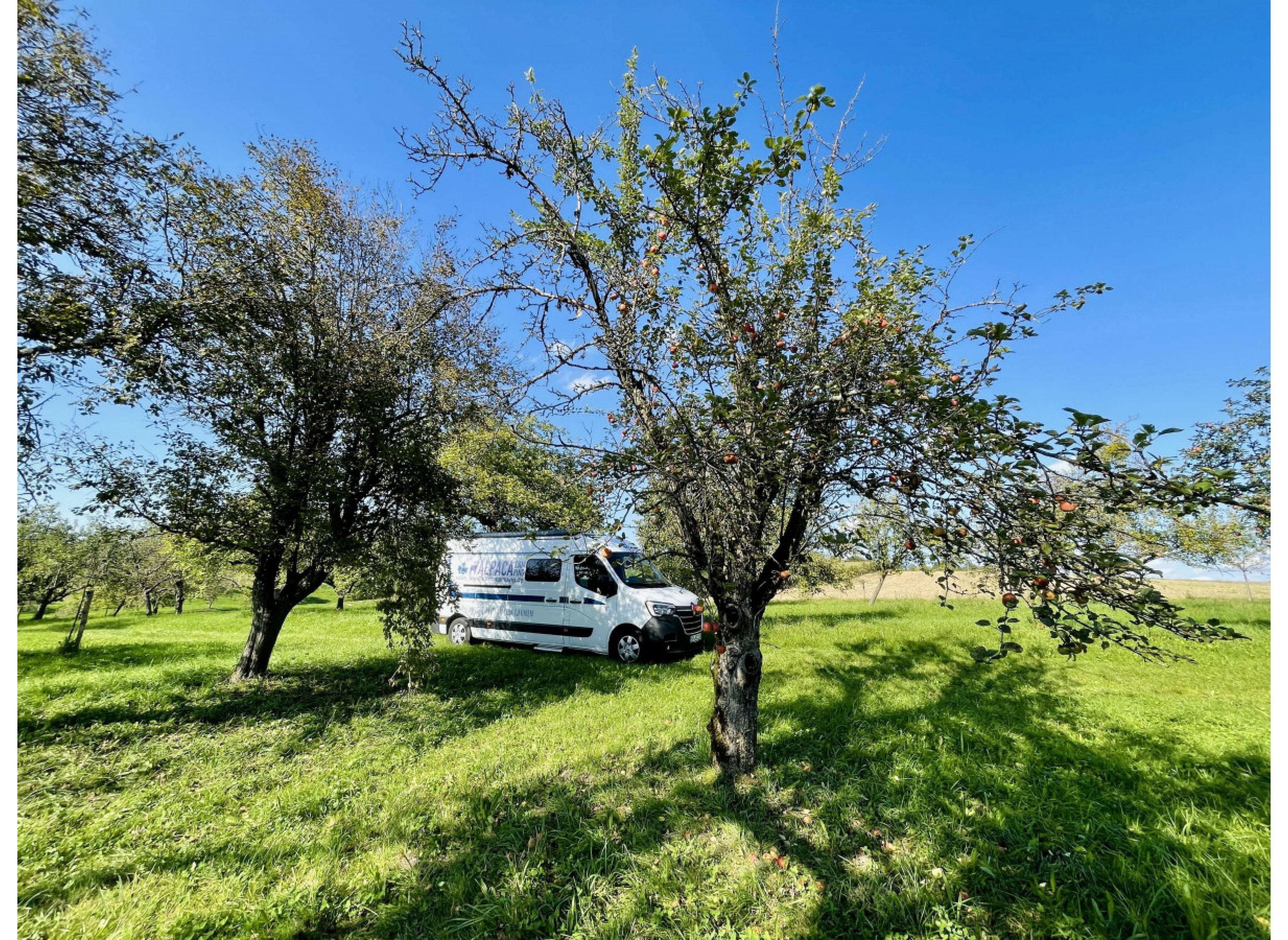 Bio Streuobstwiese Weissach im Tal  Idylle