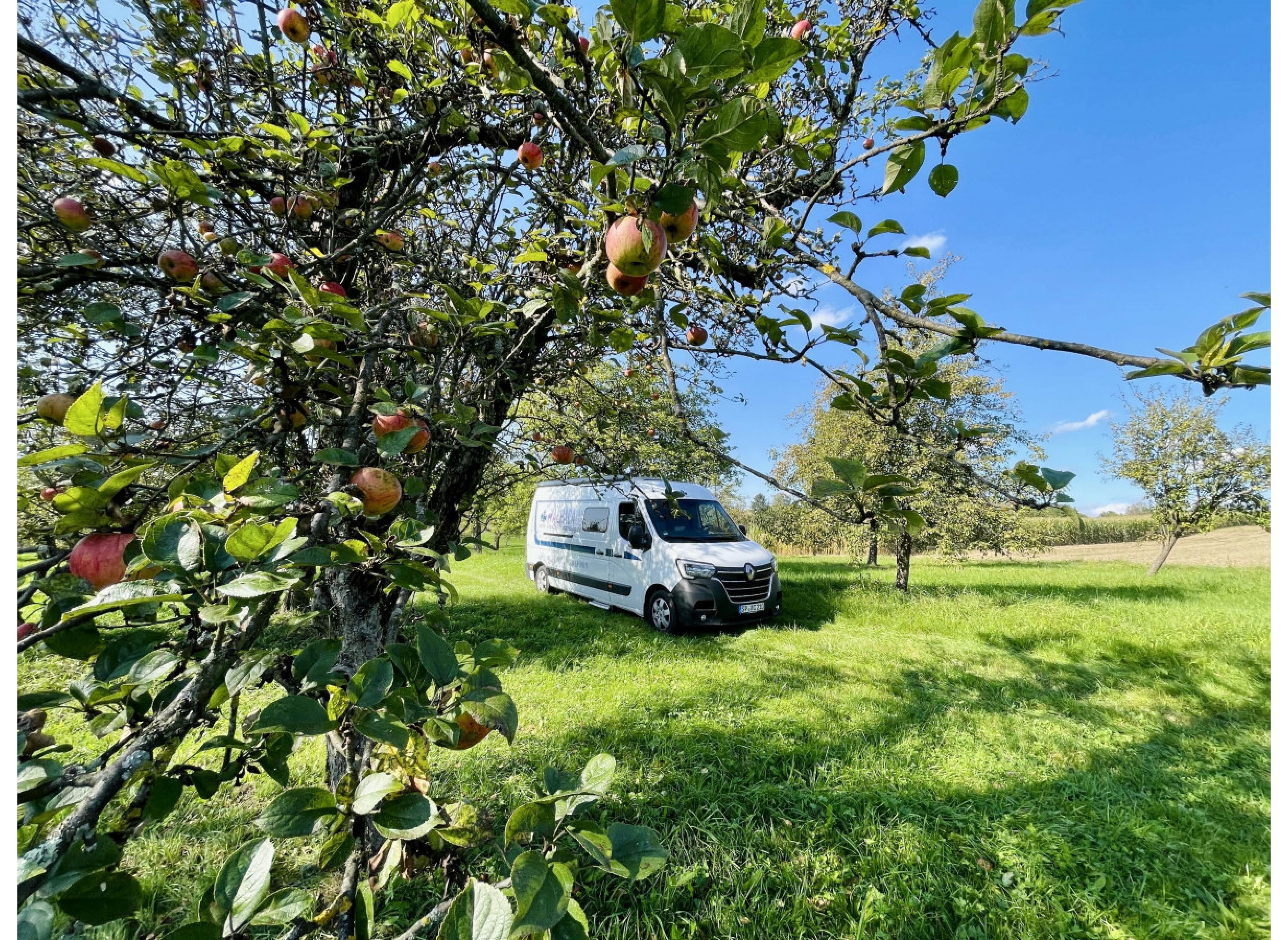 Bio Streuobstwiese Weissach im Tal  Idylle — Photo 3