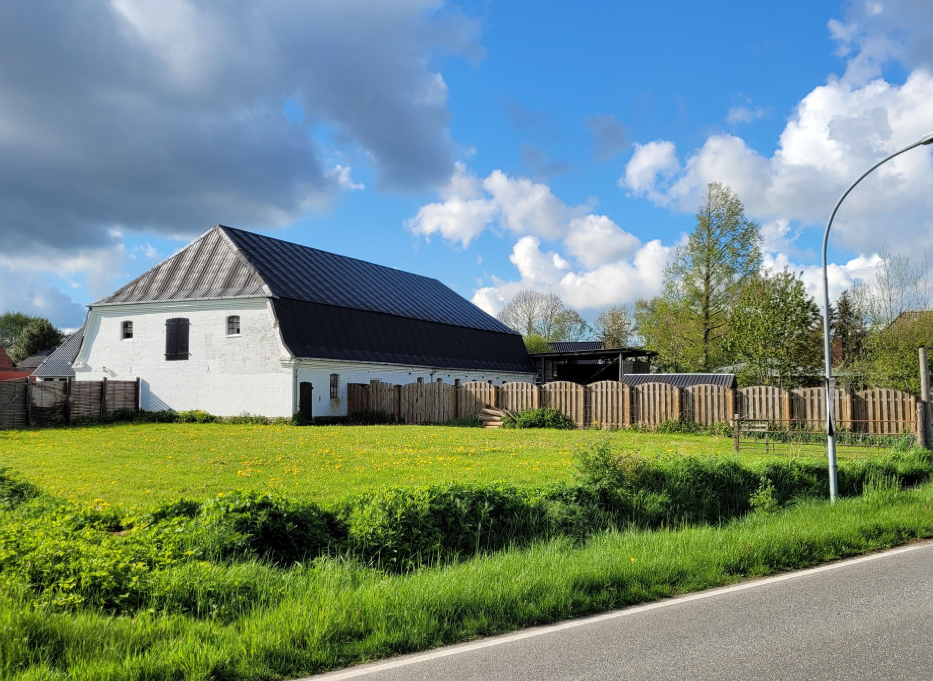 Eine Wiese inmitten von Natur