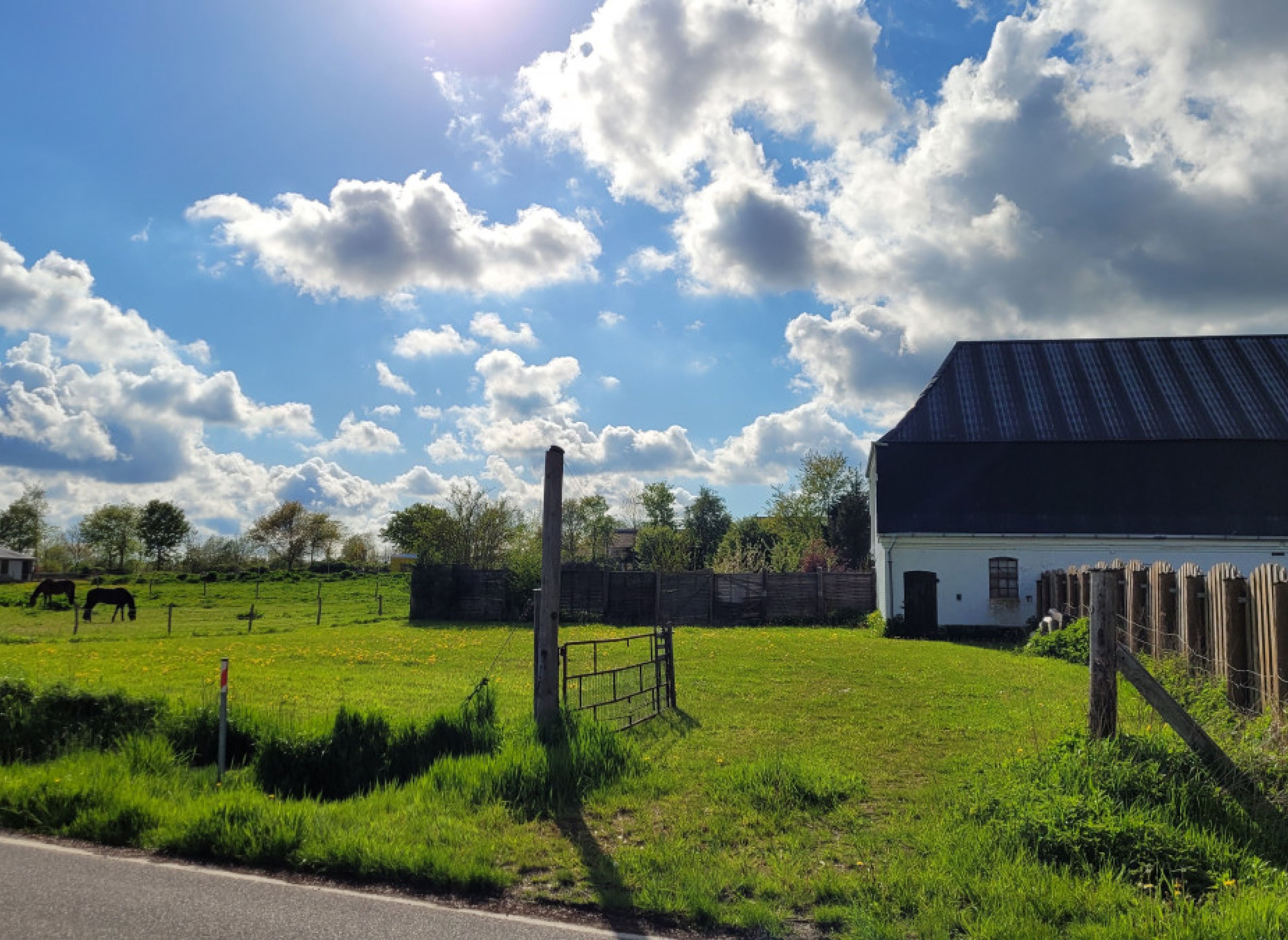 Eine Wiese inmitten von Natur — Photo 2