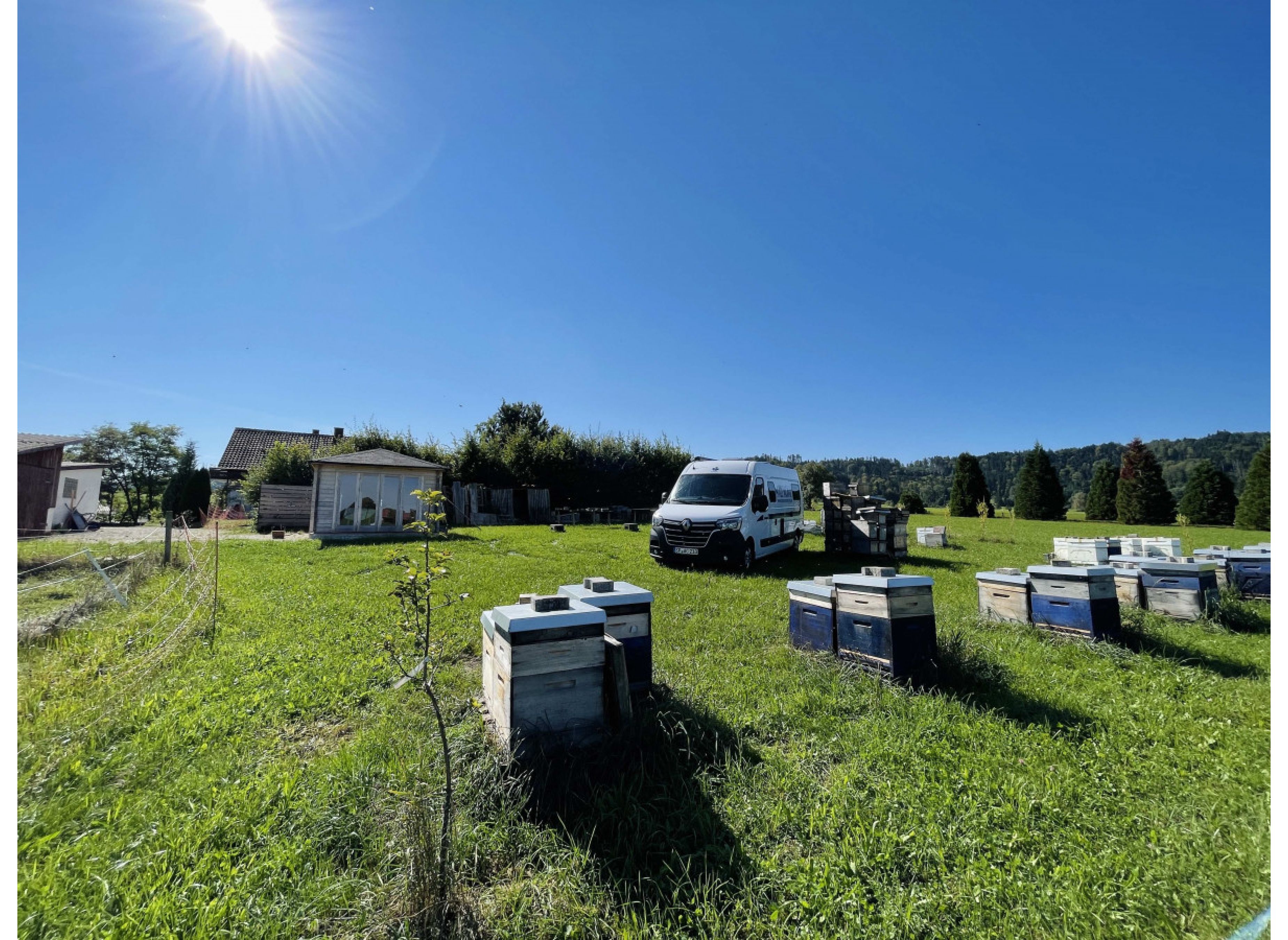 Am Waldrand mit Weitblick #2 — Photo 3