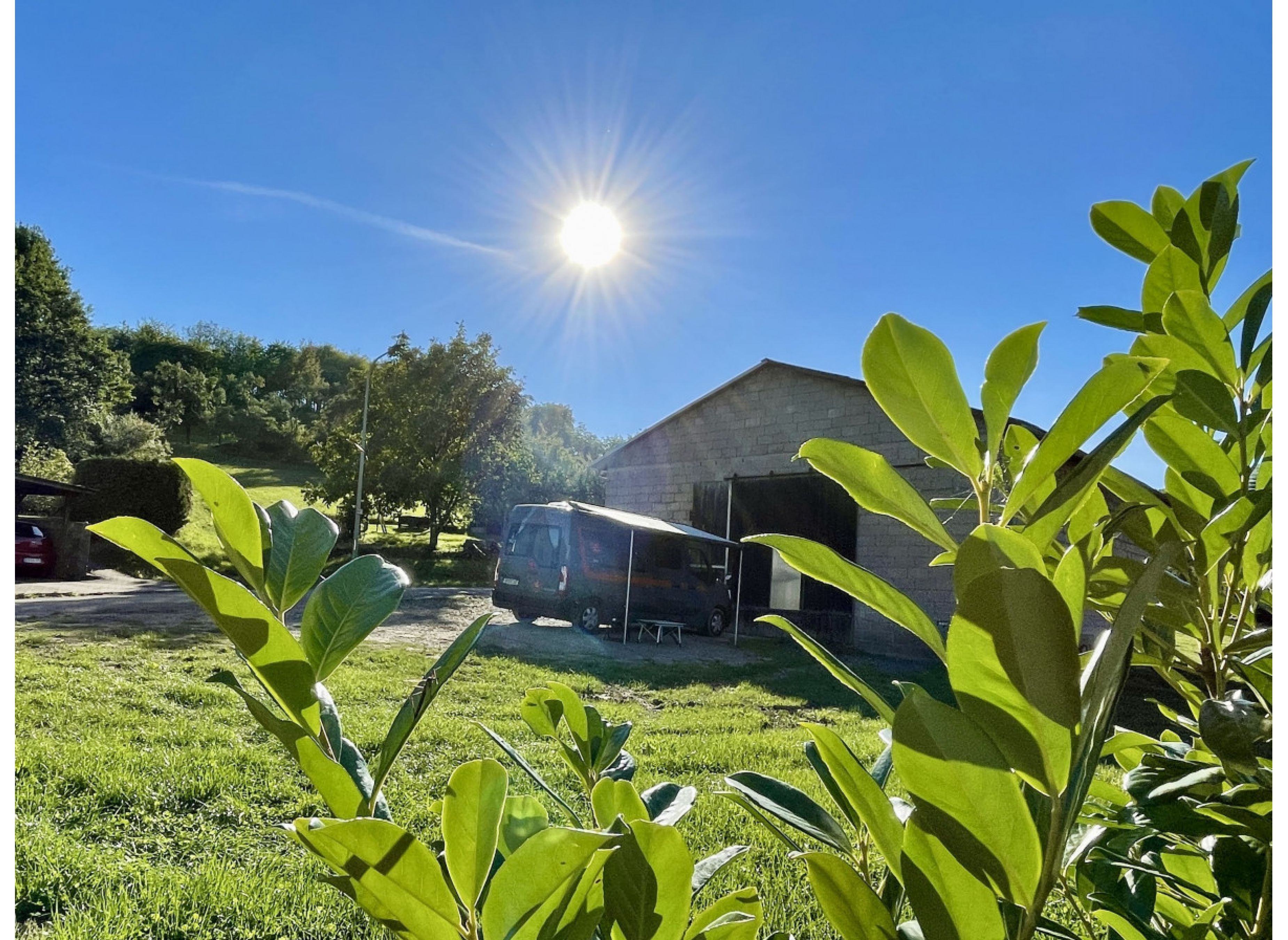 Im Grünen bei der Brennerei #2