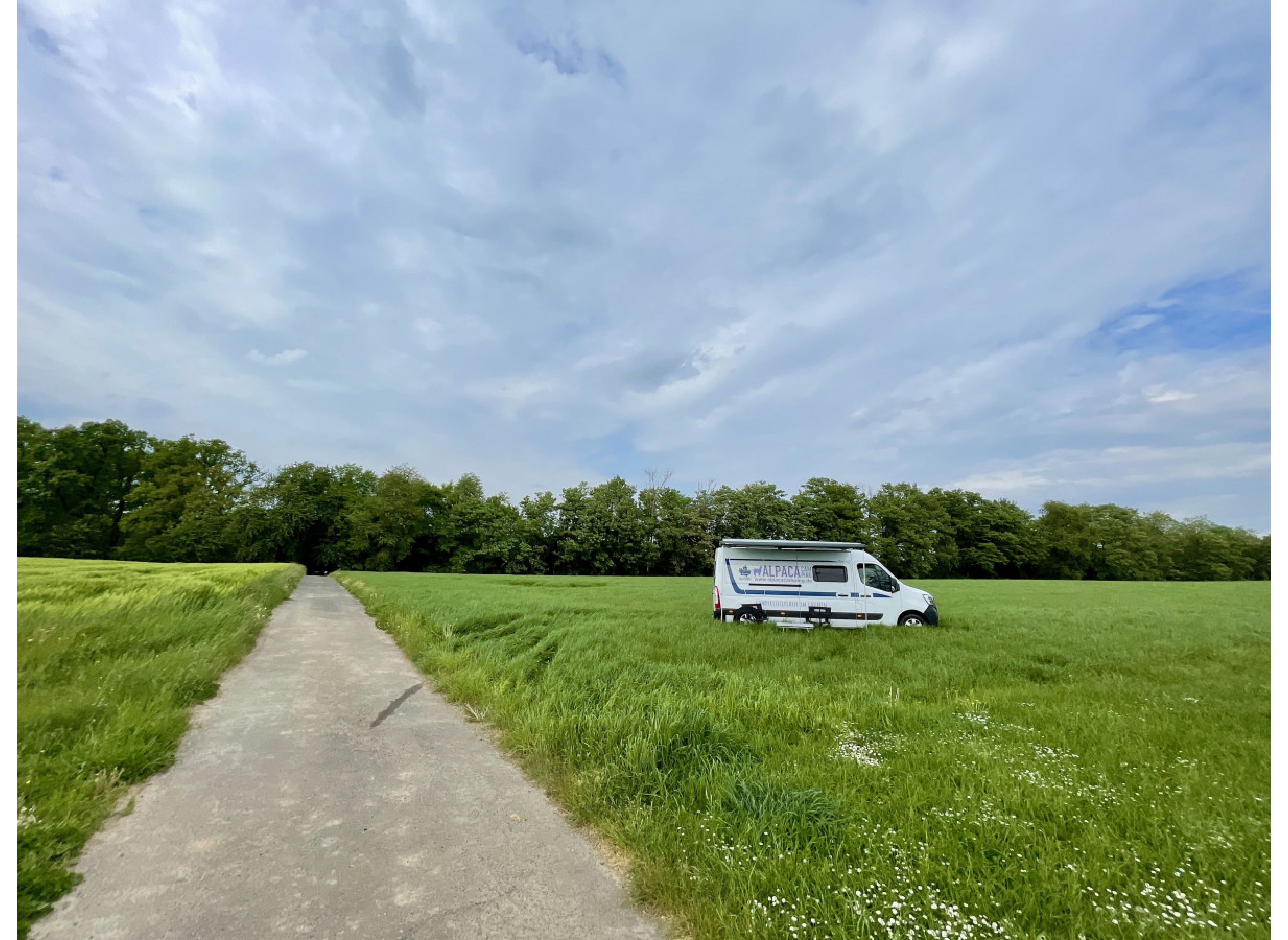 Schöne Wiese mit Eifelblick