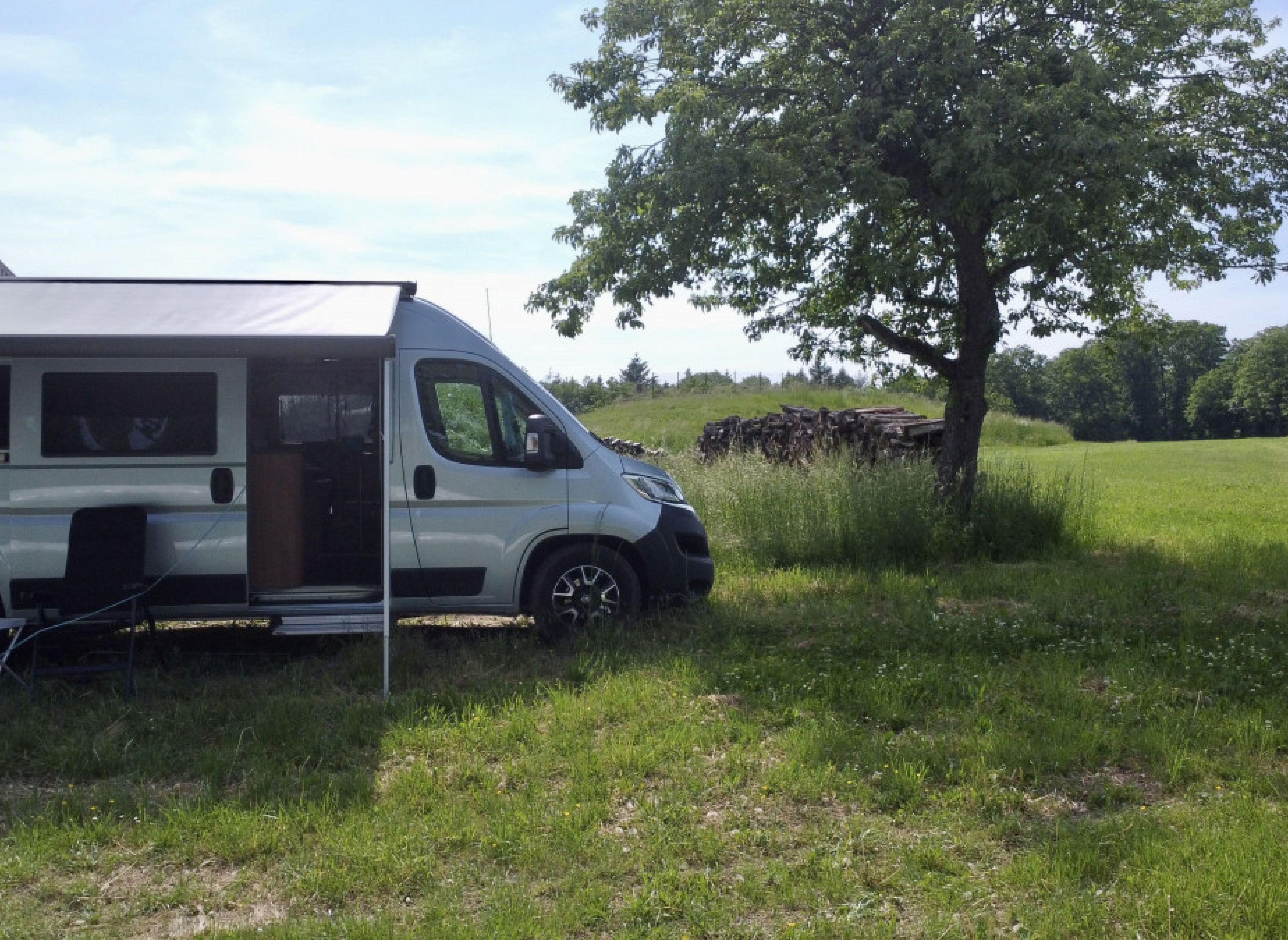 Auf der Wiese am Waldrand — Photo 2