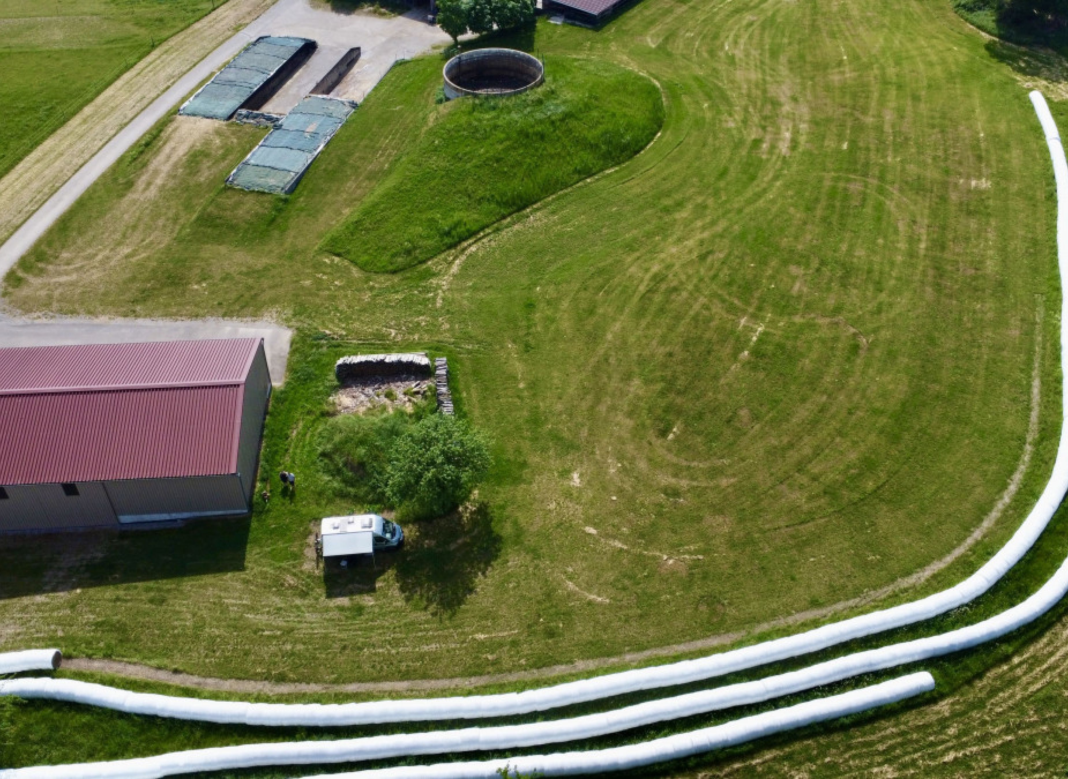 Auf der Wiese am Waldrand — Photo 3