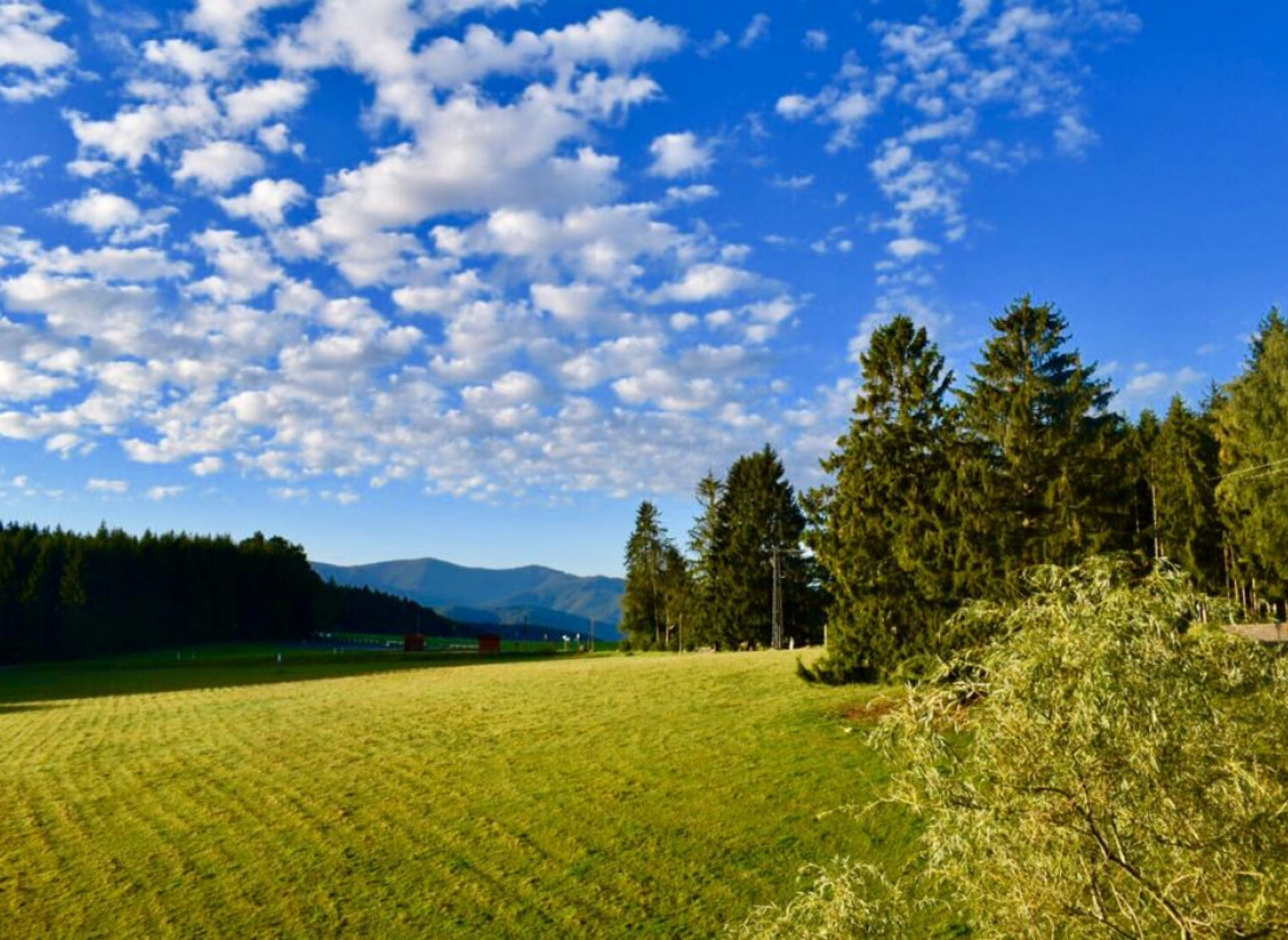 Wunderschöner Panoramaplatz mit Blick auf den Schwarzwald #2