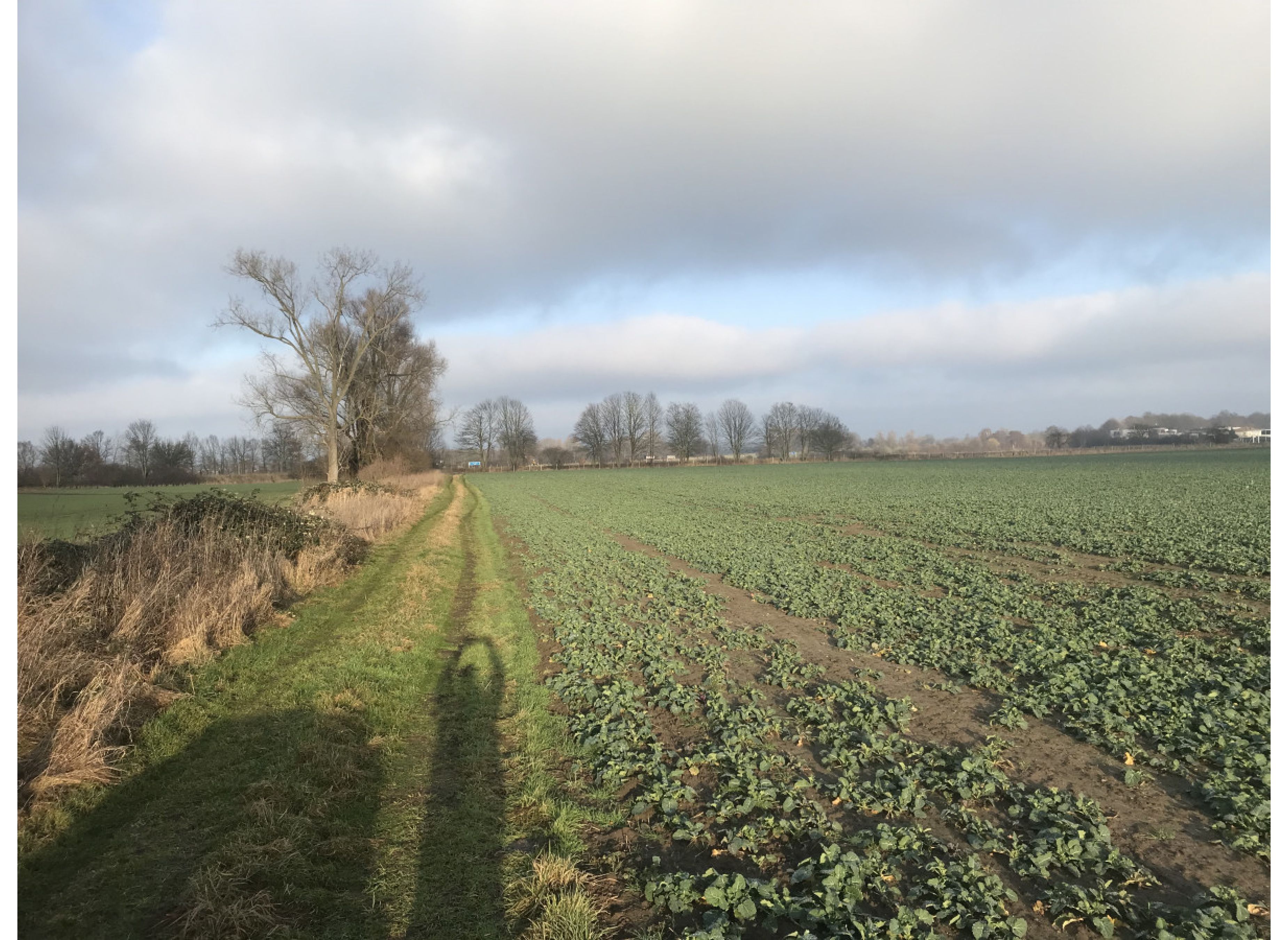 Wunderschöne Auszeit im Braunschweiger Land mit Blick aufs Wasser #3 — Photo 2