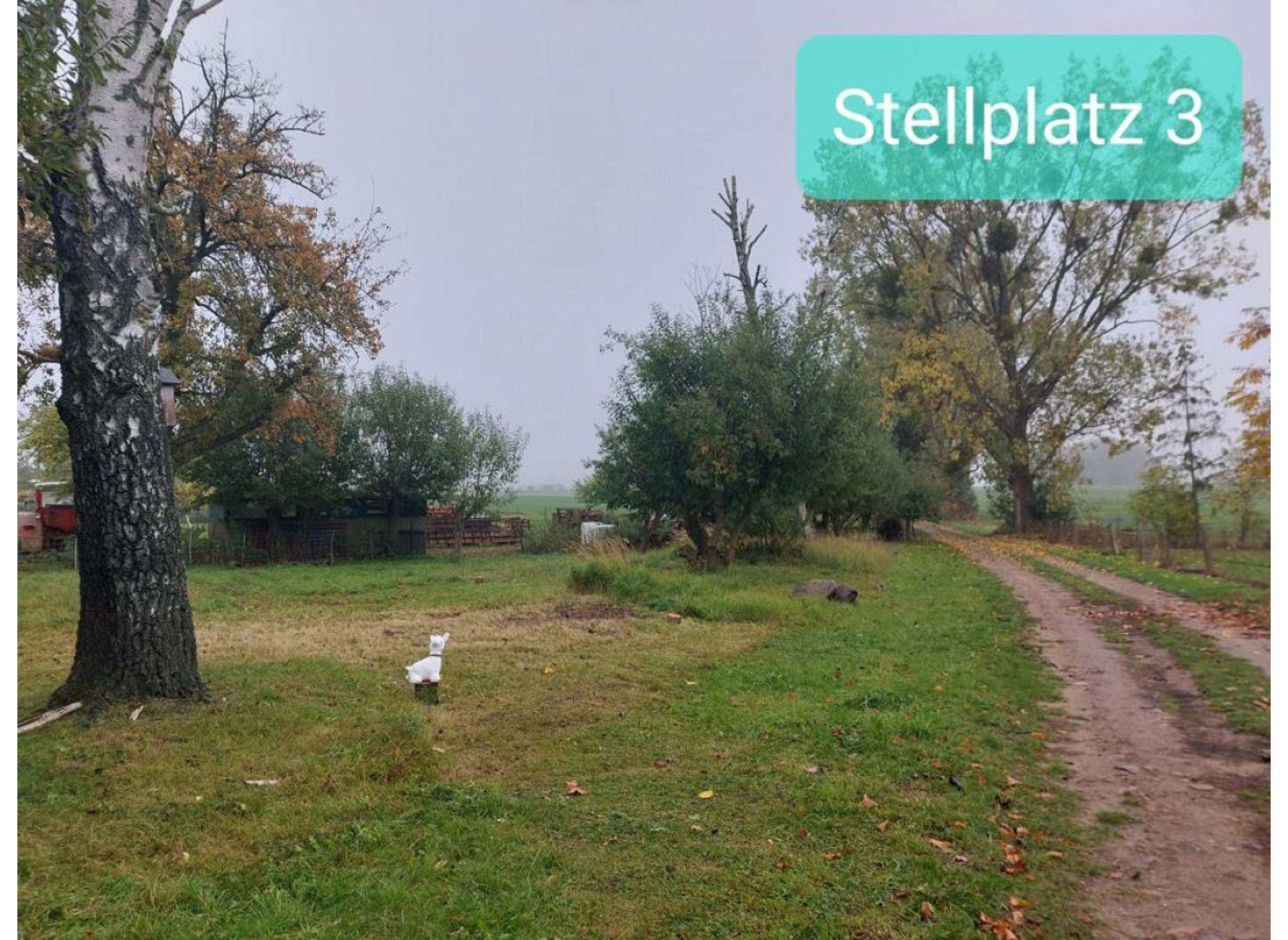 Insel-Usedom-Zwischenstopp — Photo 2