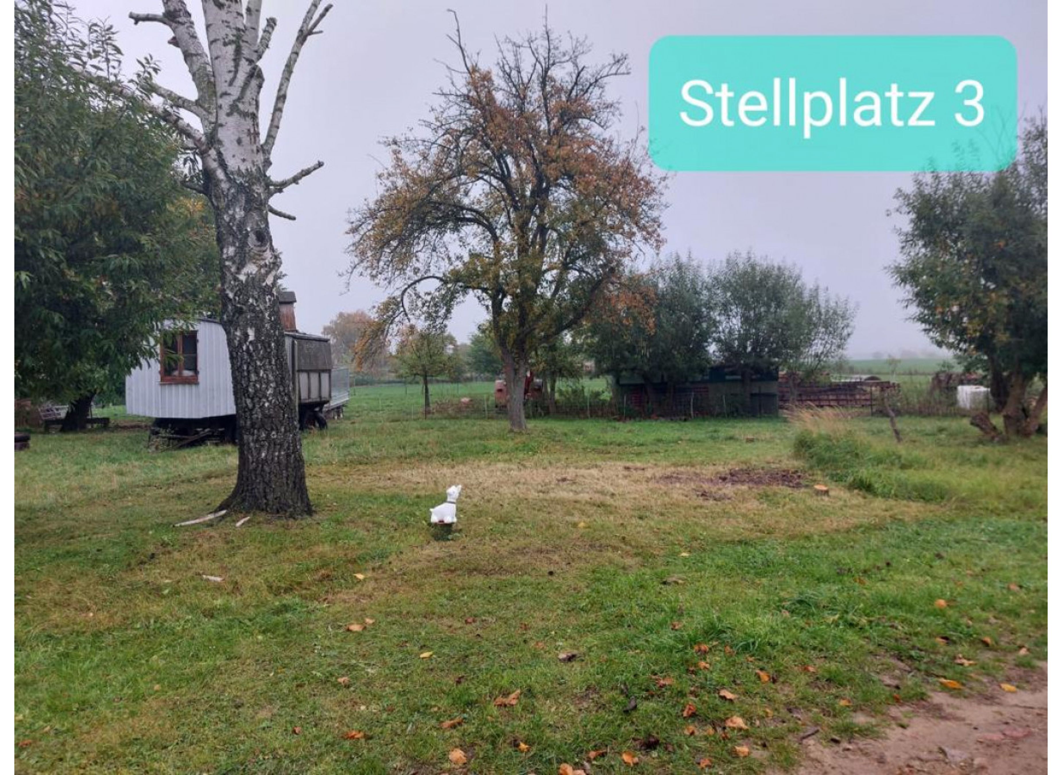 Insel-Usedom-Zwischenstopp — Photo 3