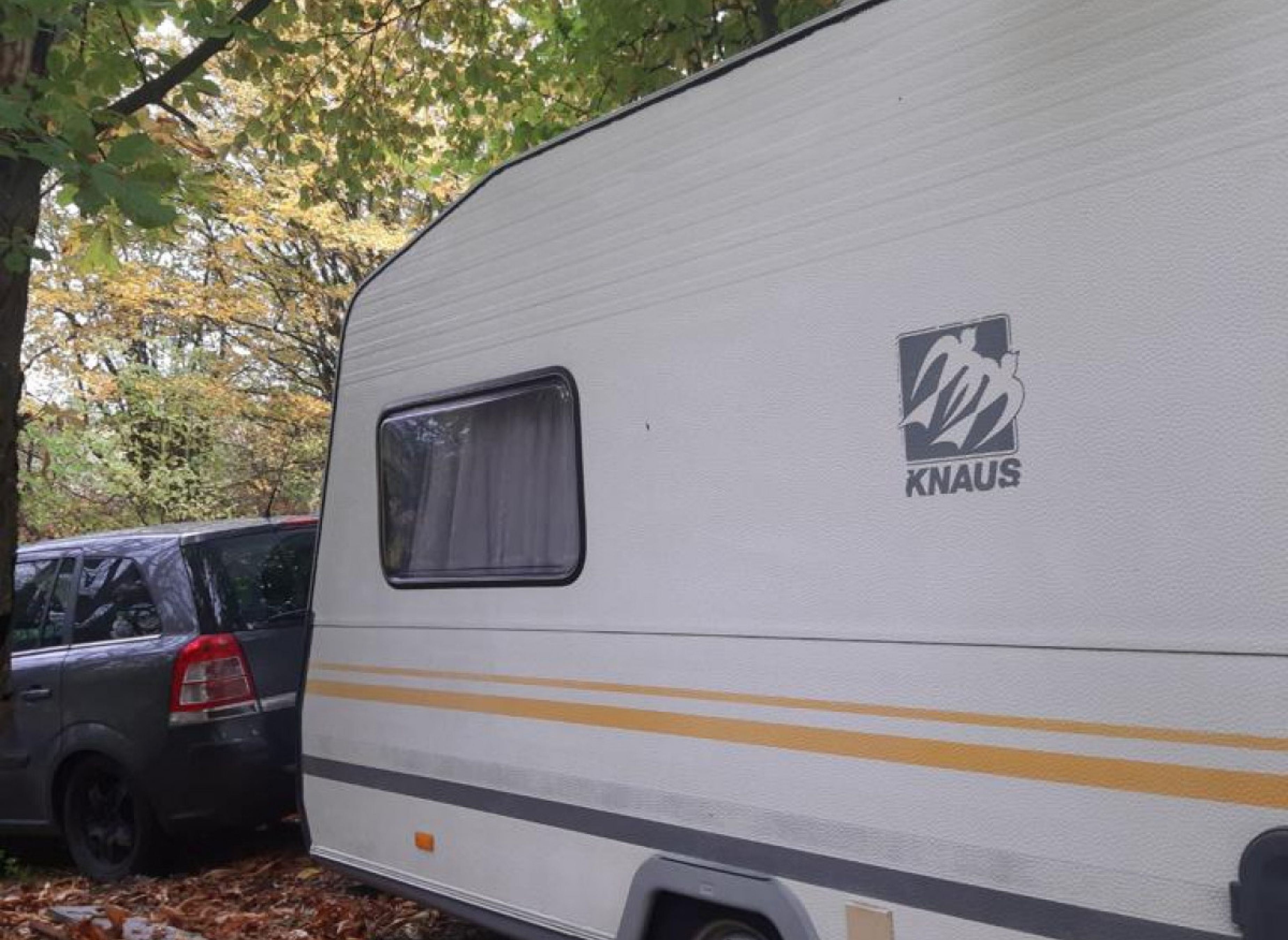 Natur pur mit Weitsicht #1 — Photo 3