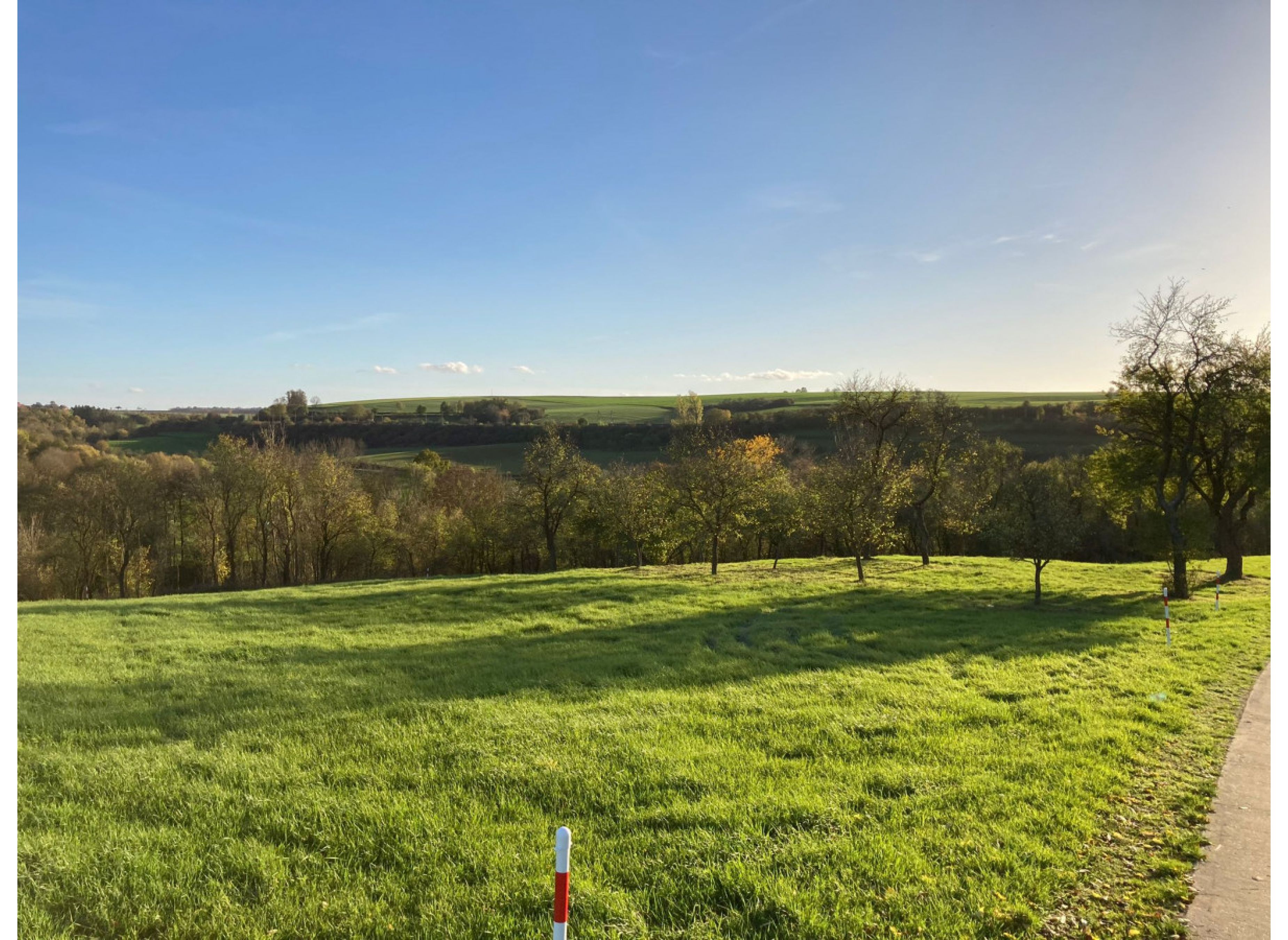 Stellplatz mitten im Grünen auf/neben einer Streuobstwiese #2
