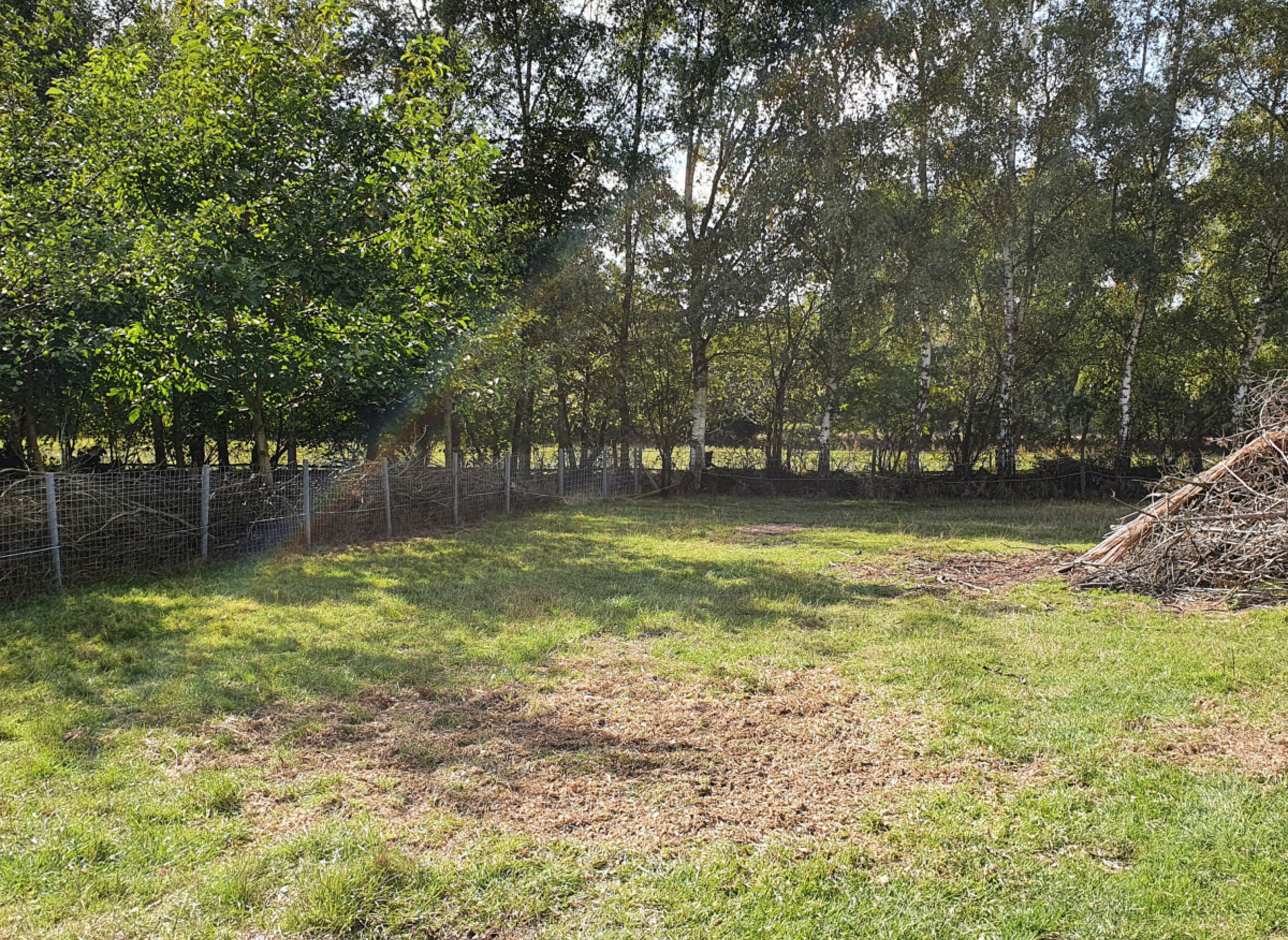 Entspannung und Ruhe zwischen Schafen — Photo 3