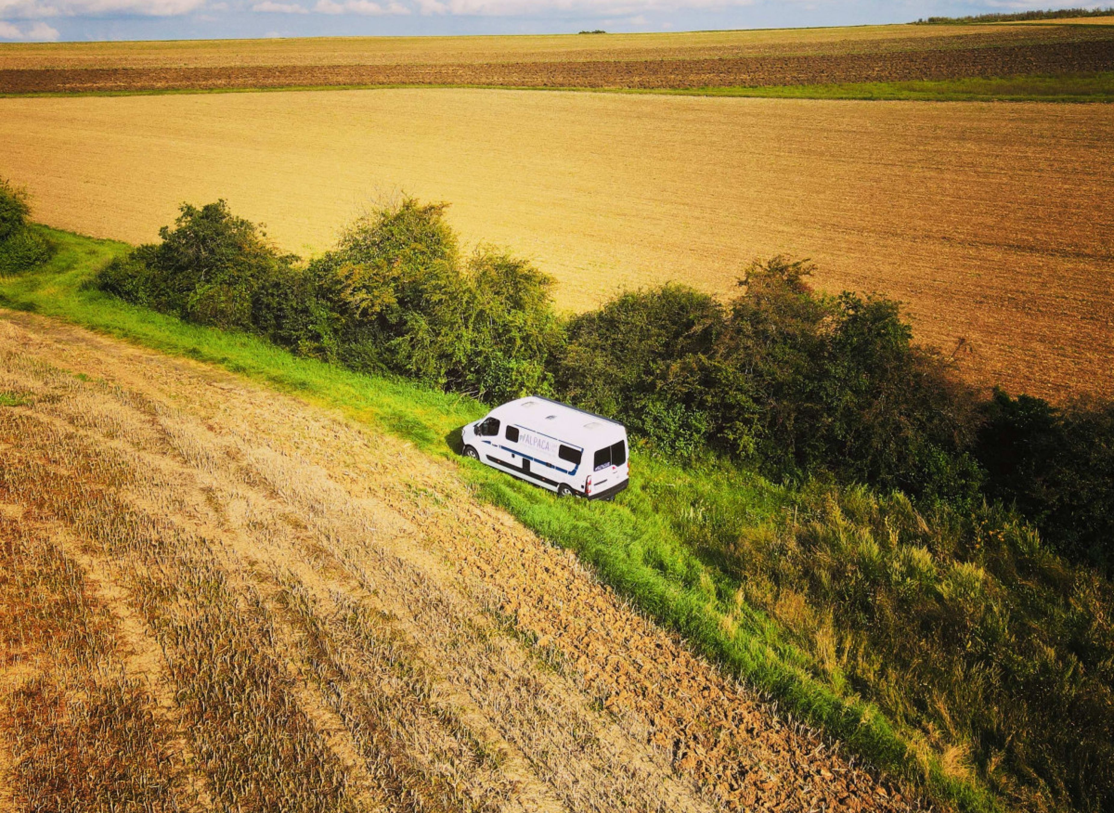 Auf der einsamen Blumenwiese