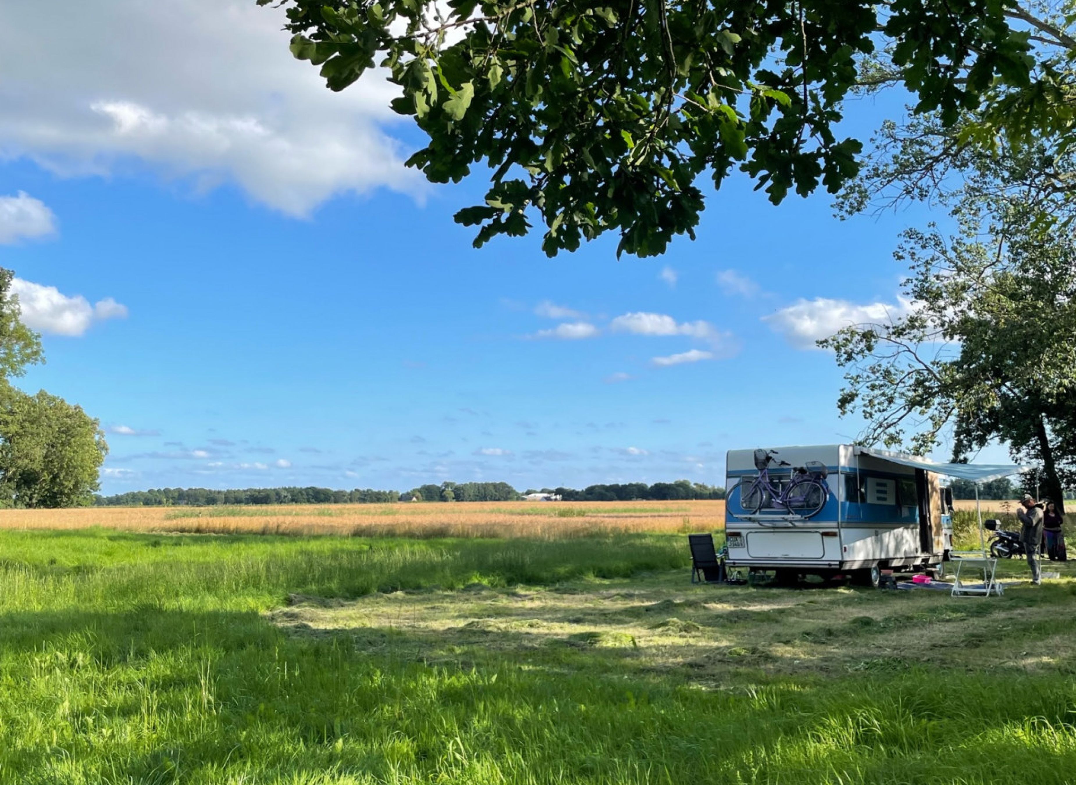 Stellplatz am Hof - Sonnige Küstenwiese mit weitem Blick über´s Feld