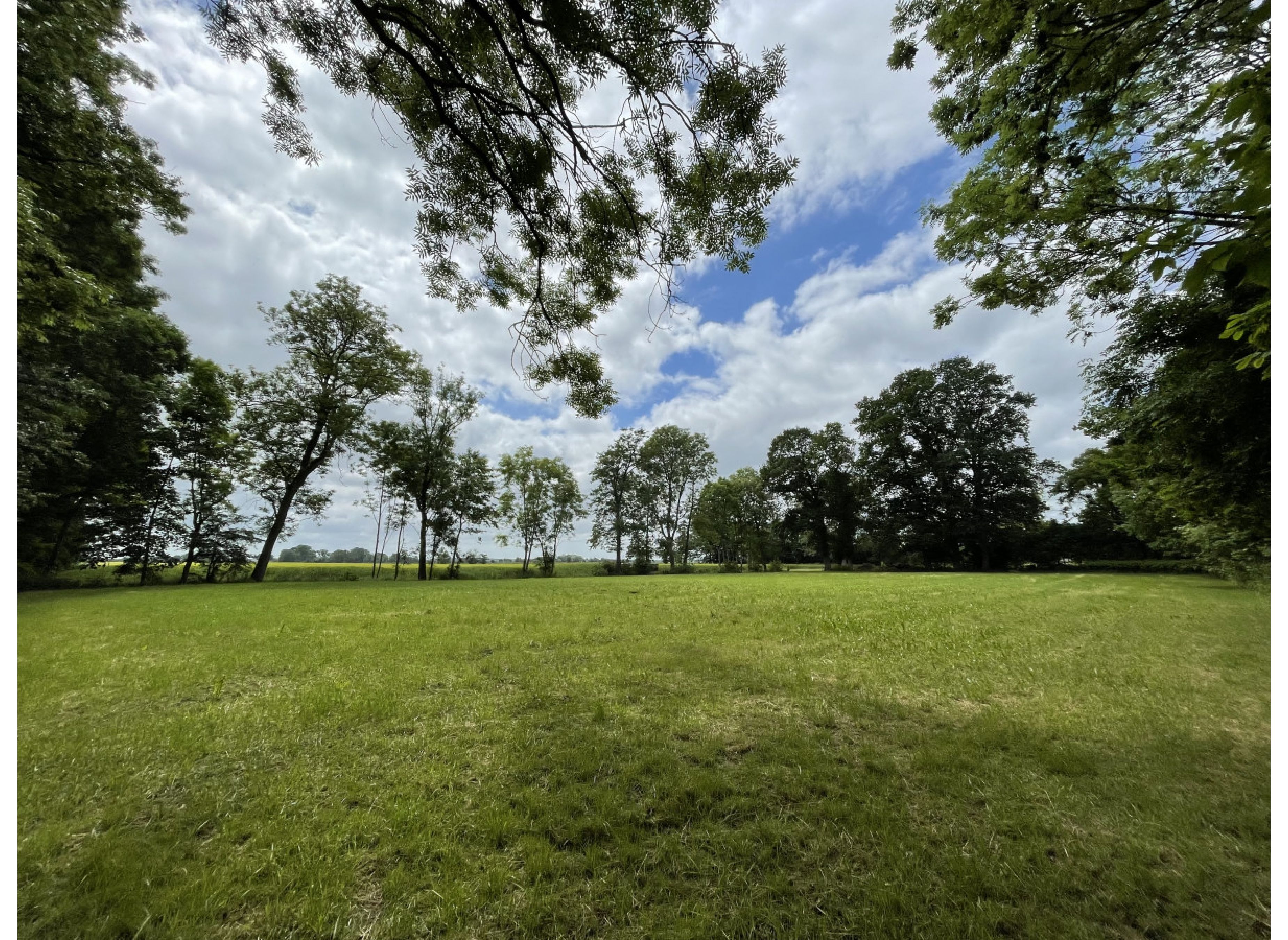 Stellplatz am Hof - Sonnige Küstenwiese mit weitem Blick über´s Feld — Photo 2