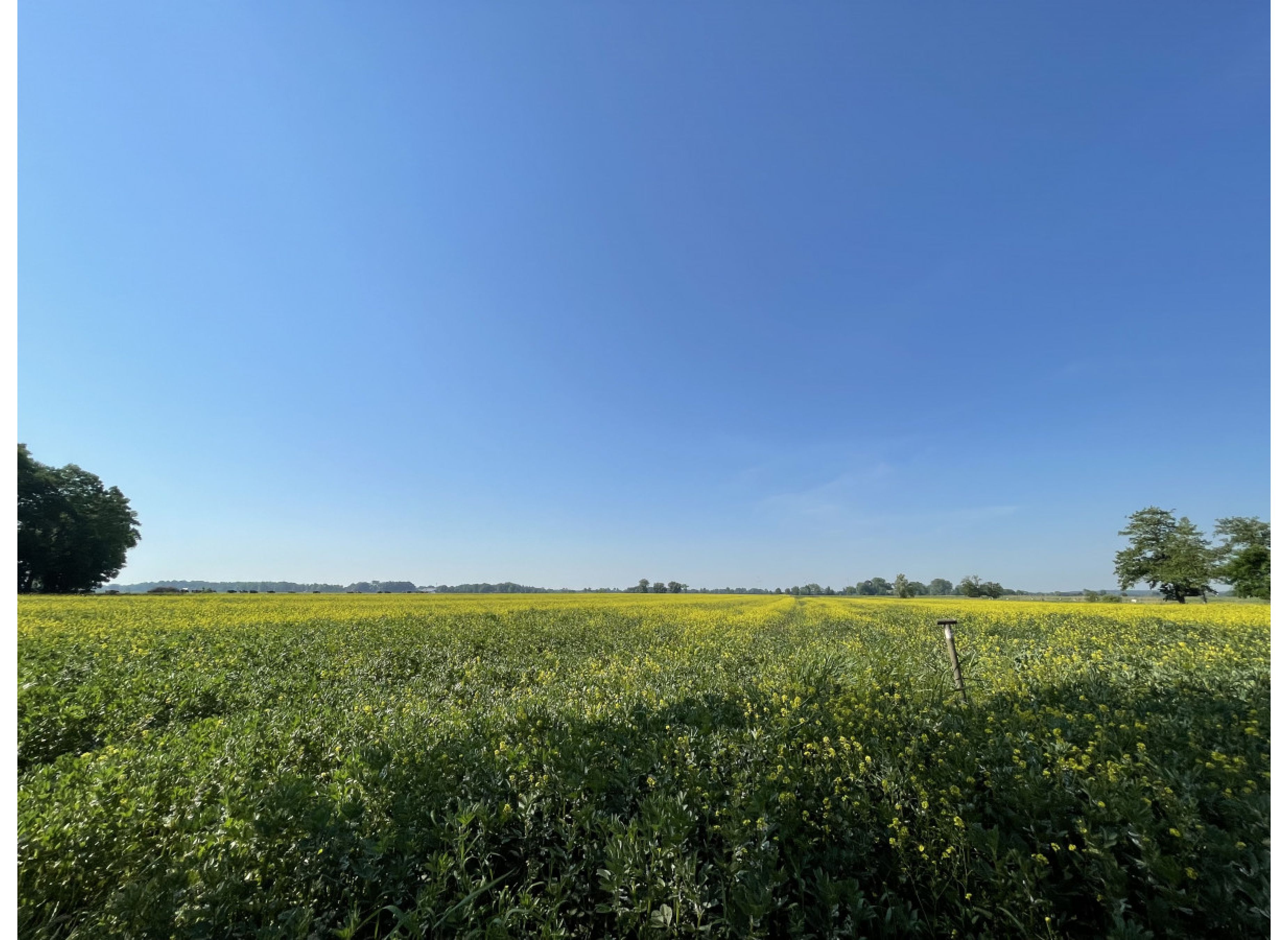 Stellplatz am Hof - Sonnige Küstenwiese mit weitem Blick über´s Feld — Photo 3